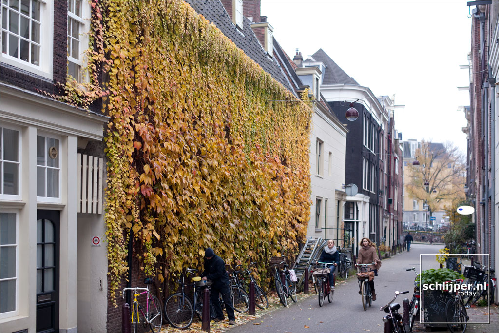 Nederland, Amsterdam, 12 november 2012