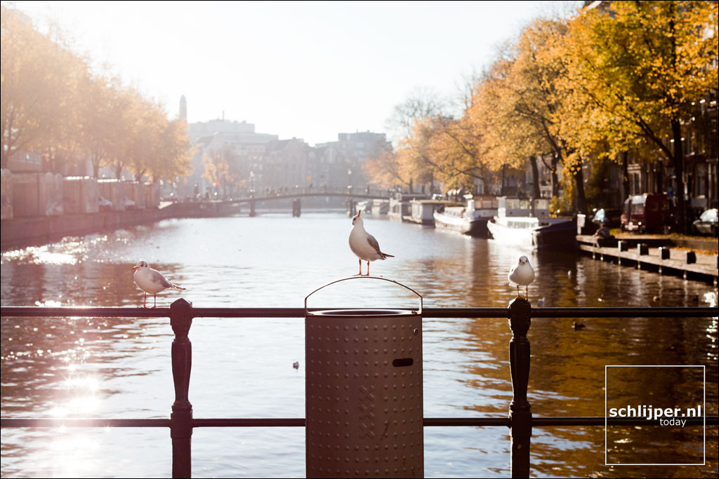 Nederland, Amsterdam, 14 november 2012