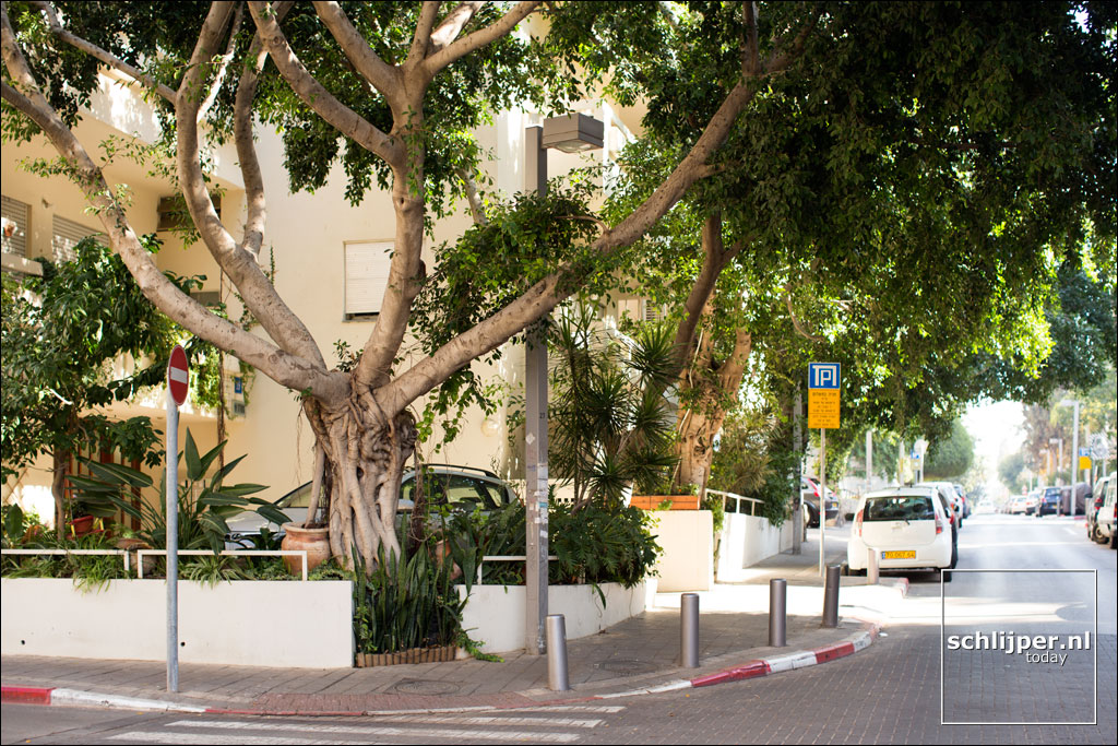 Israel, Tel Aviv, 31 december 2012