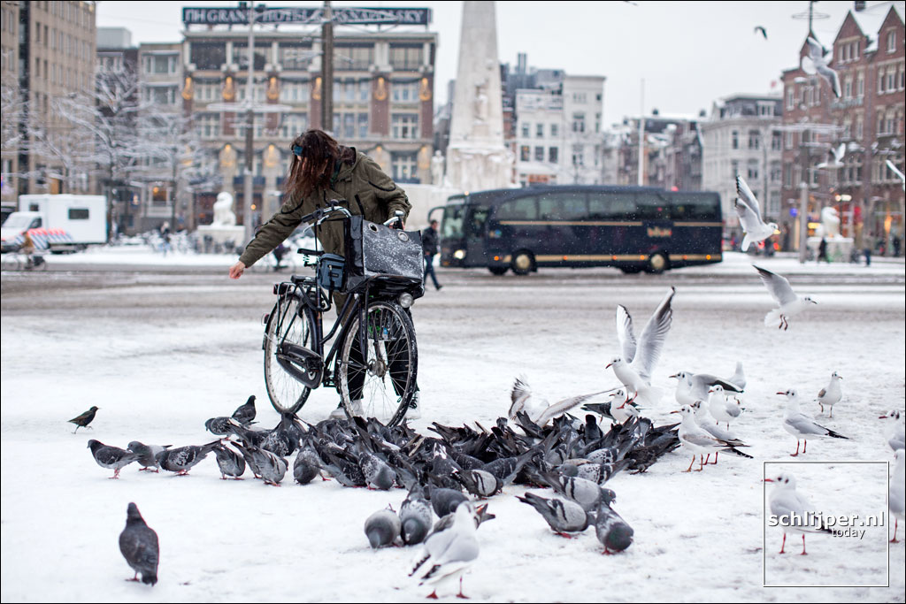 Nederland, Amsterdam, 15 januari 2013