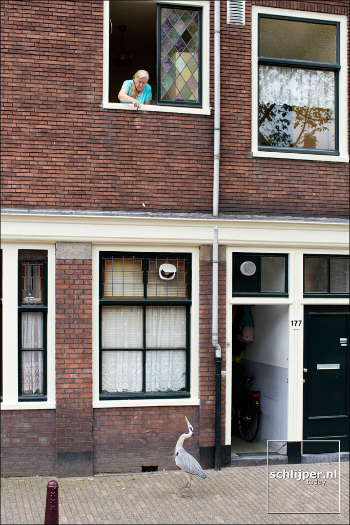 Nederland, Amsterdam, 13 juni 2013