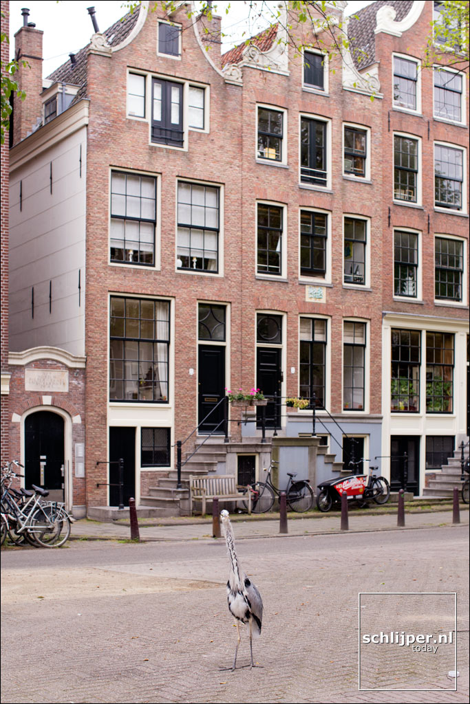 Nederland, Amsterdam, 26 juli 2013