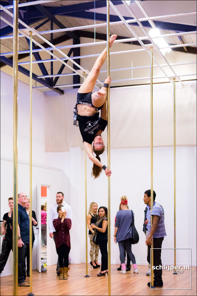 Aerial Silks - Pole Dance Factory Amsterdam