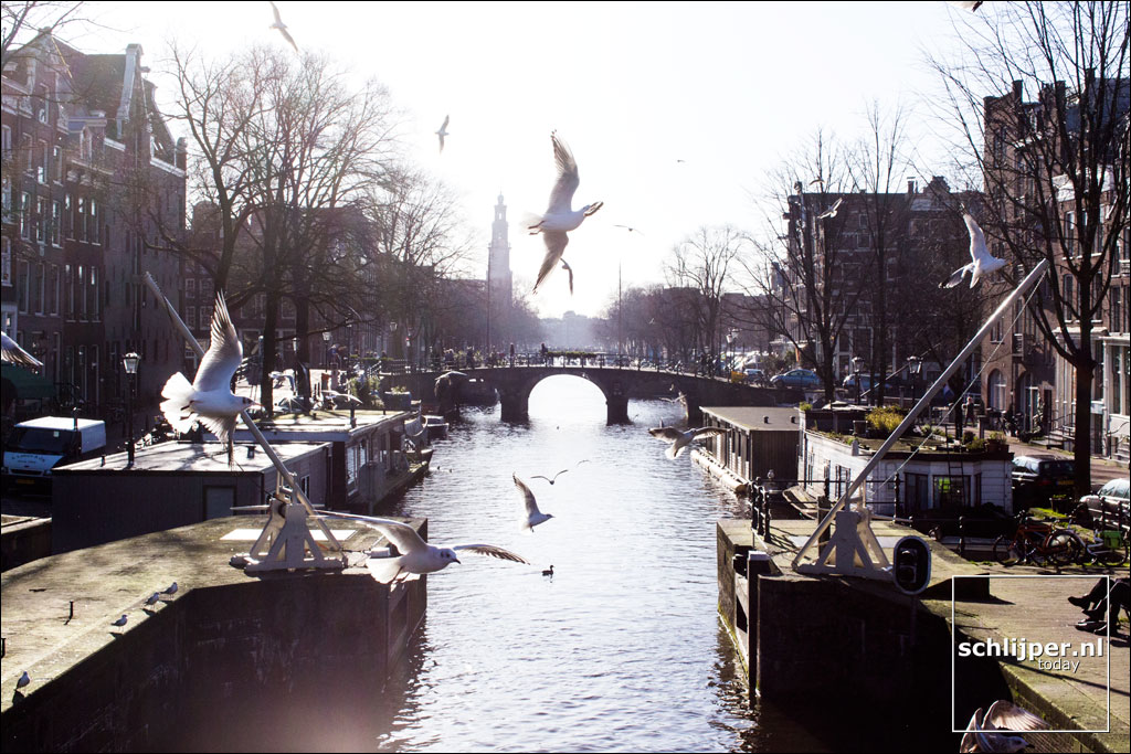Nederland, Amsterdam, 3 februari 2014