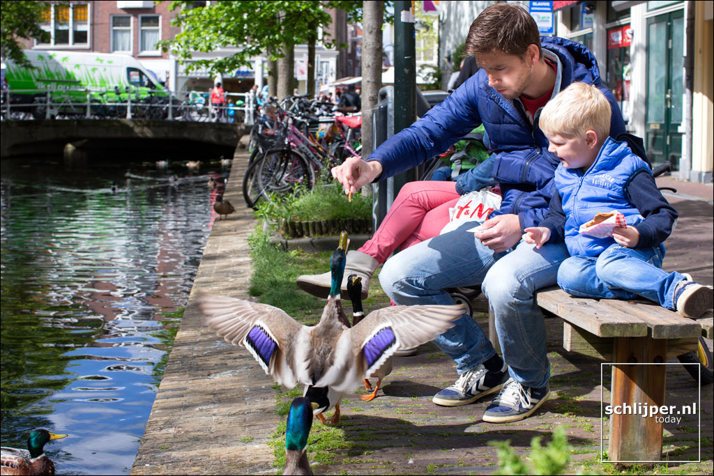 Nederland, Delft, 3 mei 2014