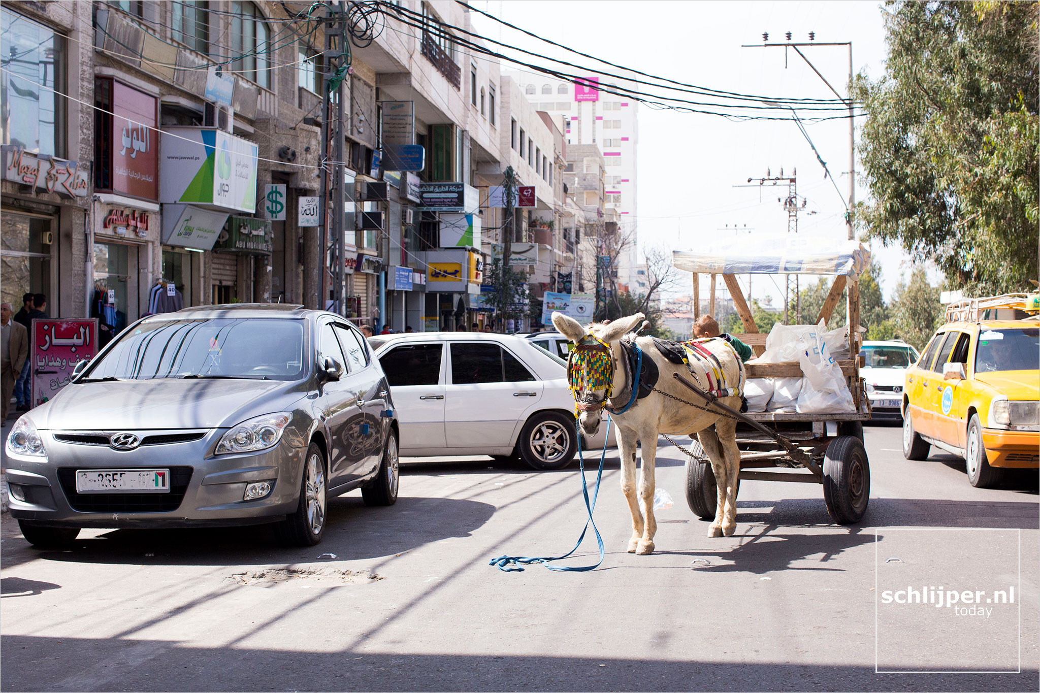 Gaza, Gaza City, 25 maart 2015