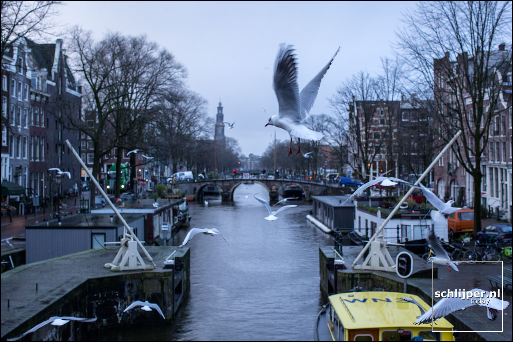 Nederland, Amsterdam, 12 januari 2015