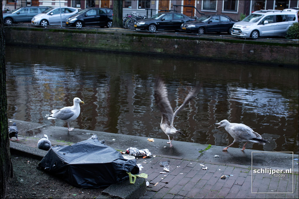 Nederland, Amsterdam, 13 januari 2016