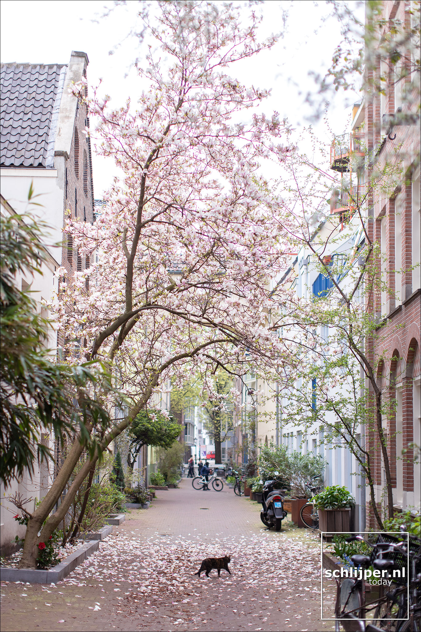 Nederland, Amsterdam, 2 april 2019