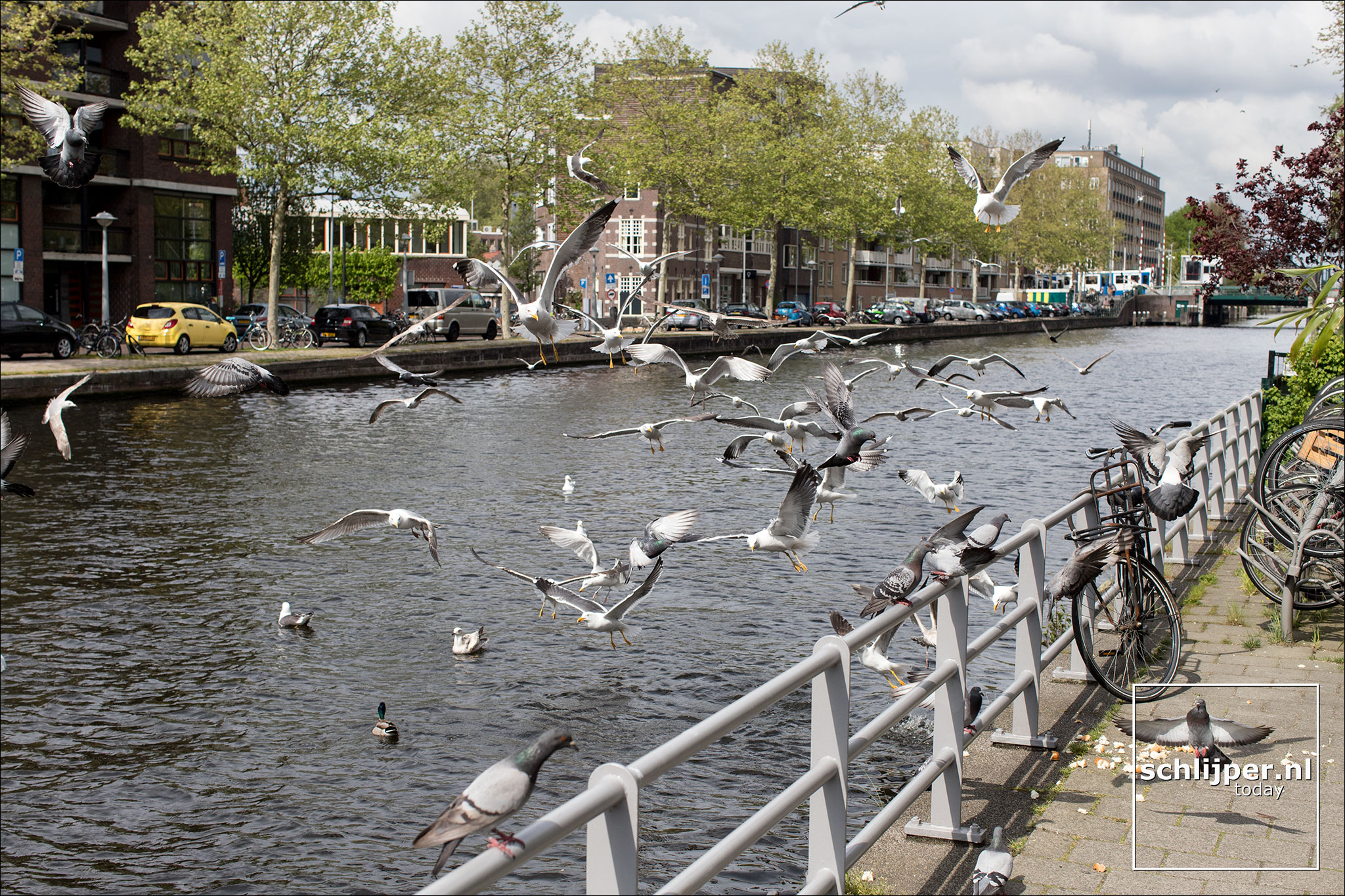 The Netherlands, Amsterdam, 28 april 2019
