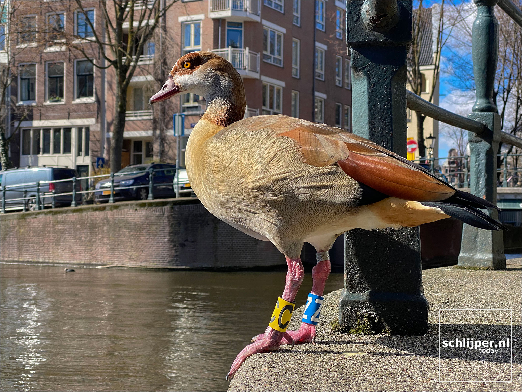 The Netherlands, Amsterdam, 19 maart 2021