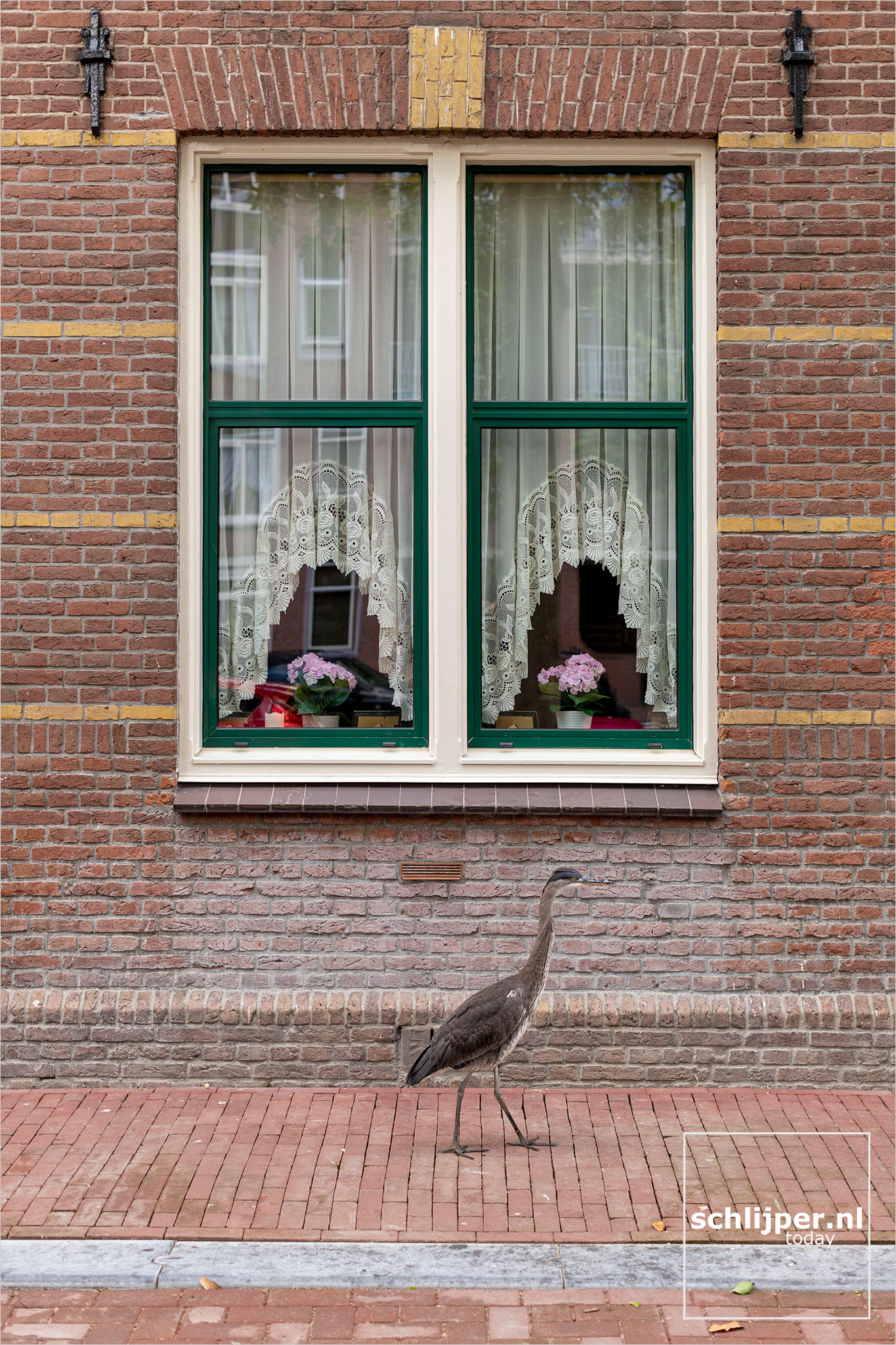 The Netherlands, Amsterdam, 1 augustus 2021