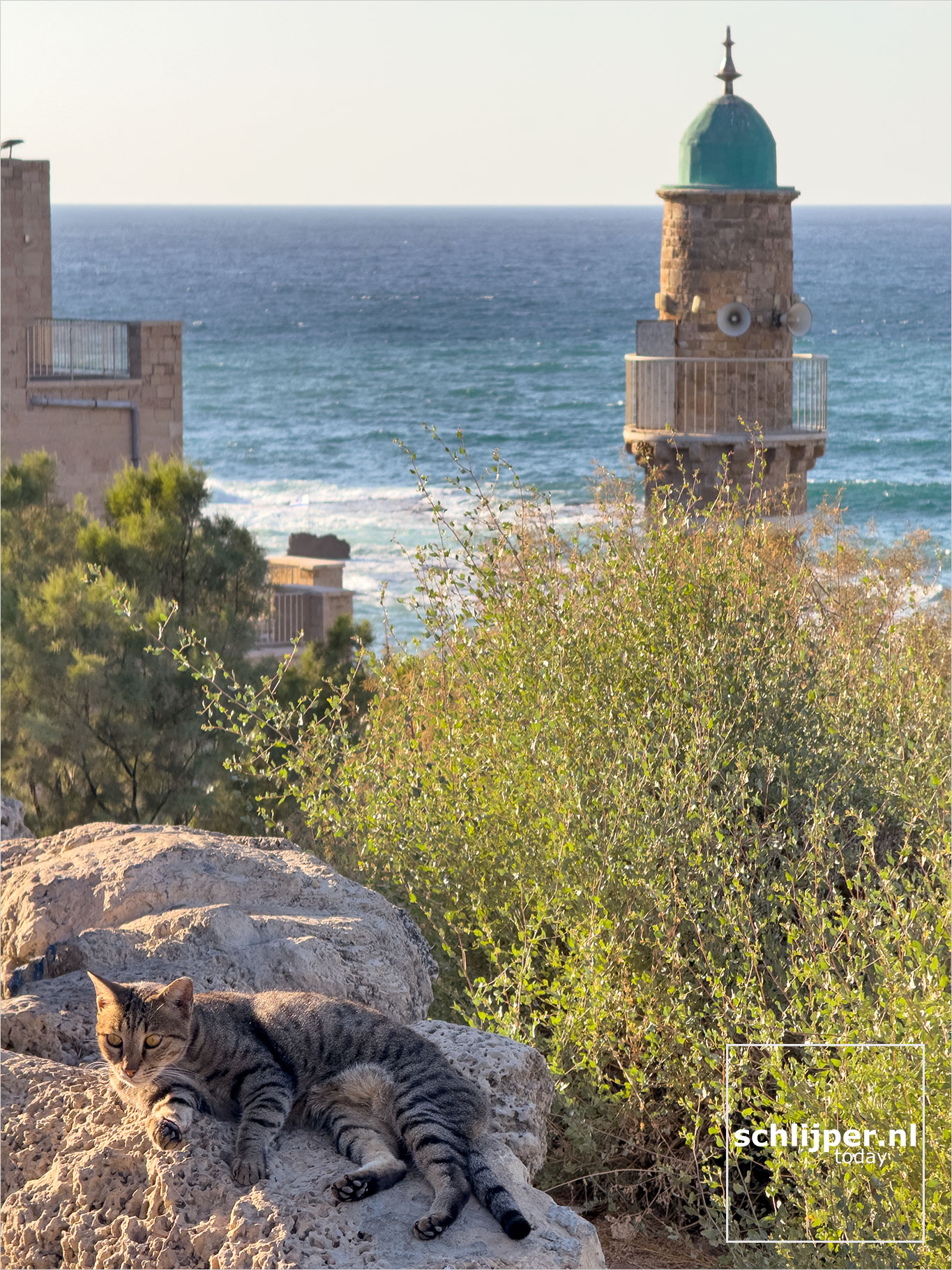 Israel, Tel Aviv, October 18, 2024