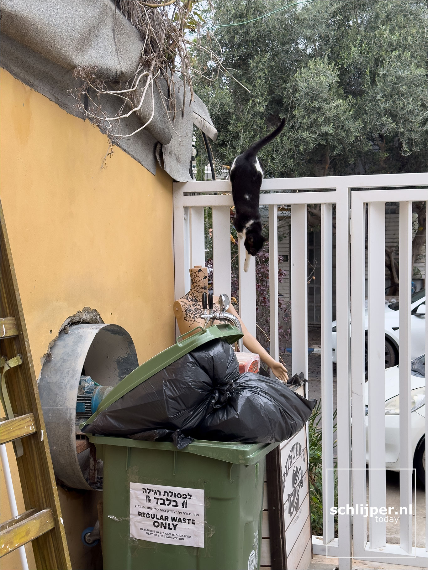 Israel, Tel Aviv, November 24 2024