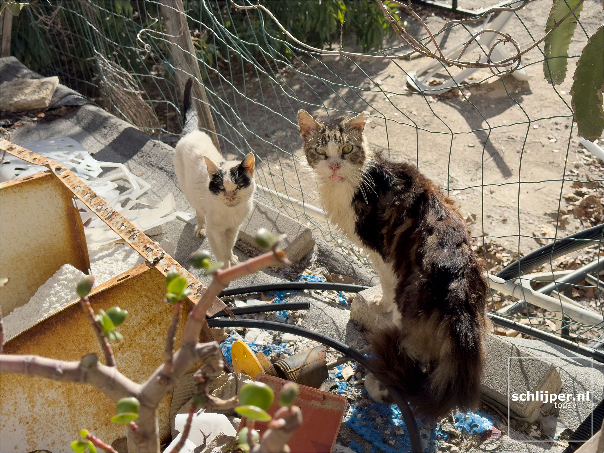 Israel, Tel Aviv, January 3, 2025