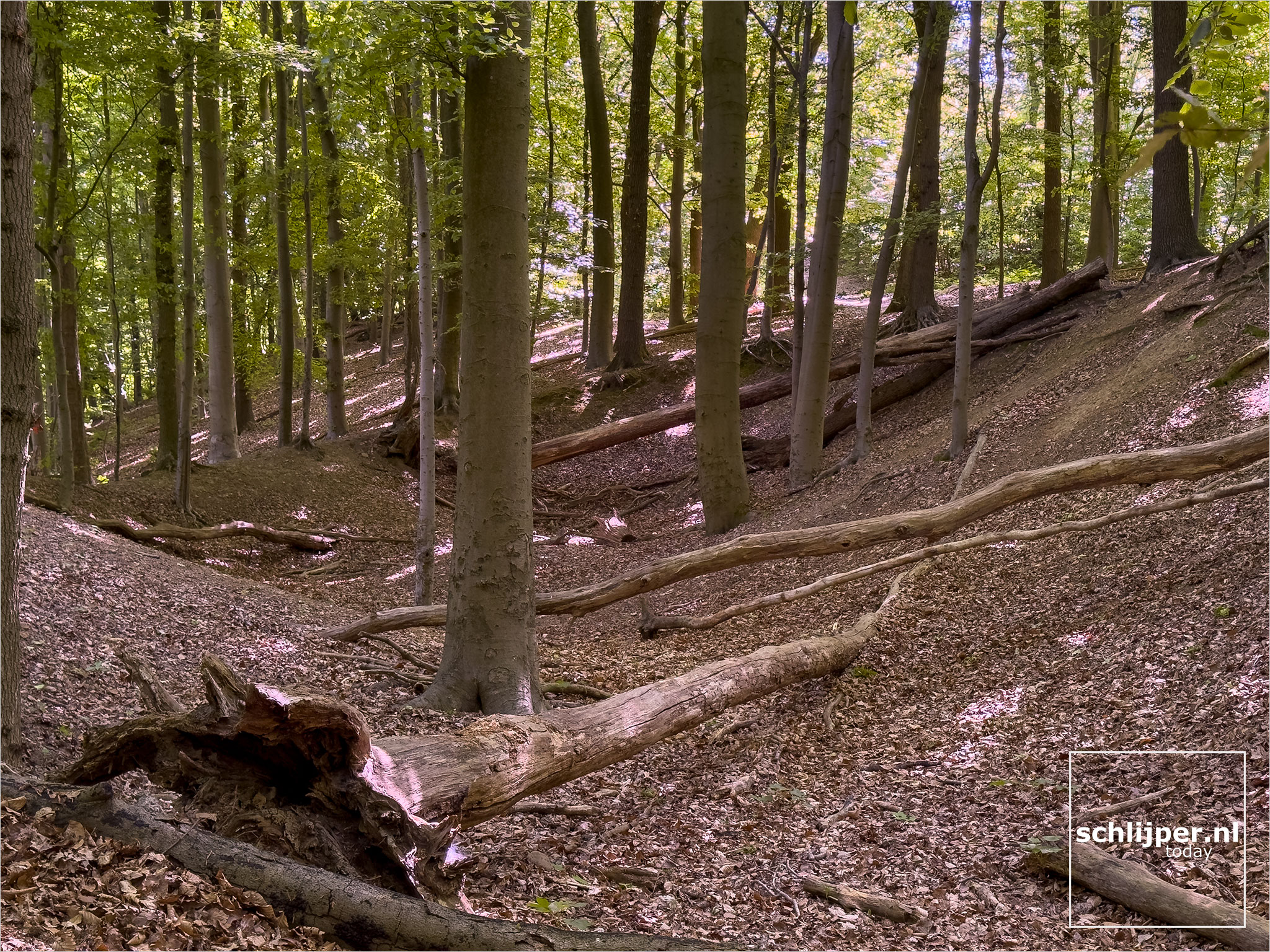 The Netherlands, Meerssen, May 9, 2025