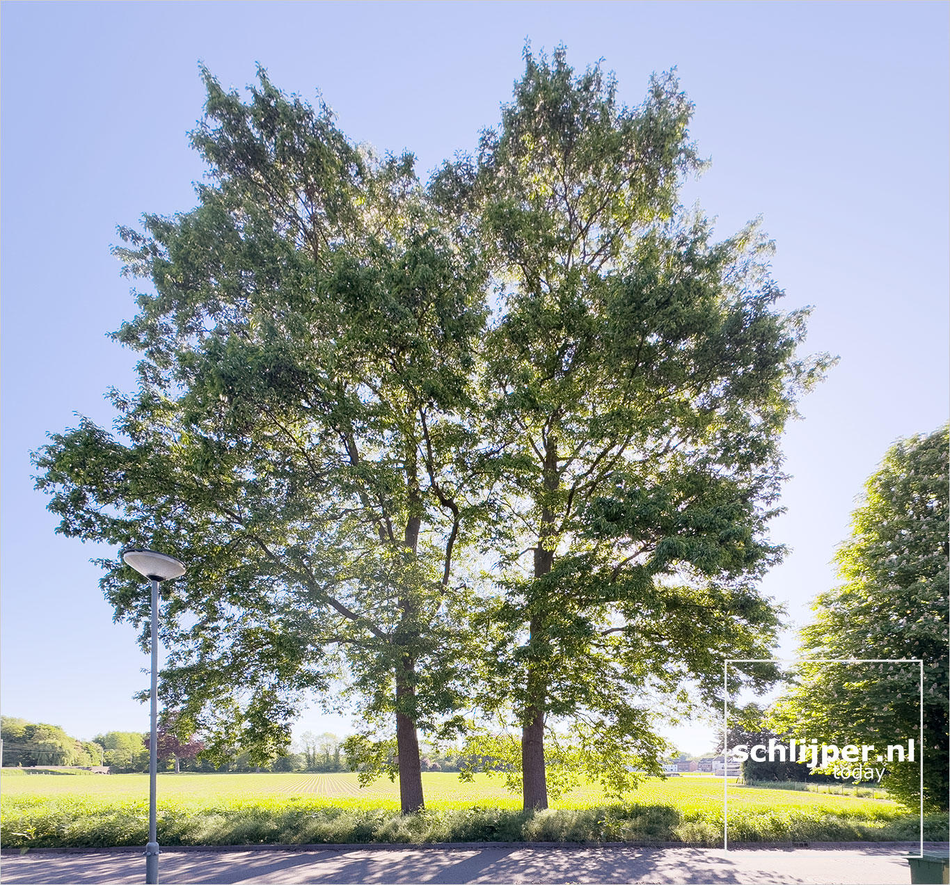 The Netherlands, Rothem, May 12, 2025
