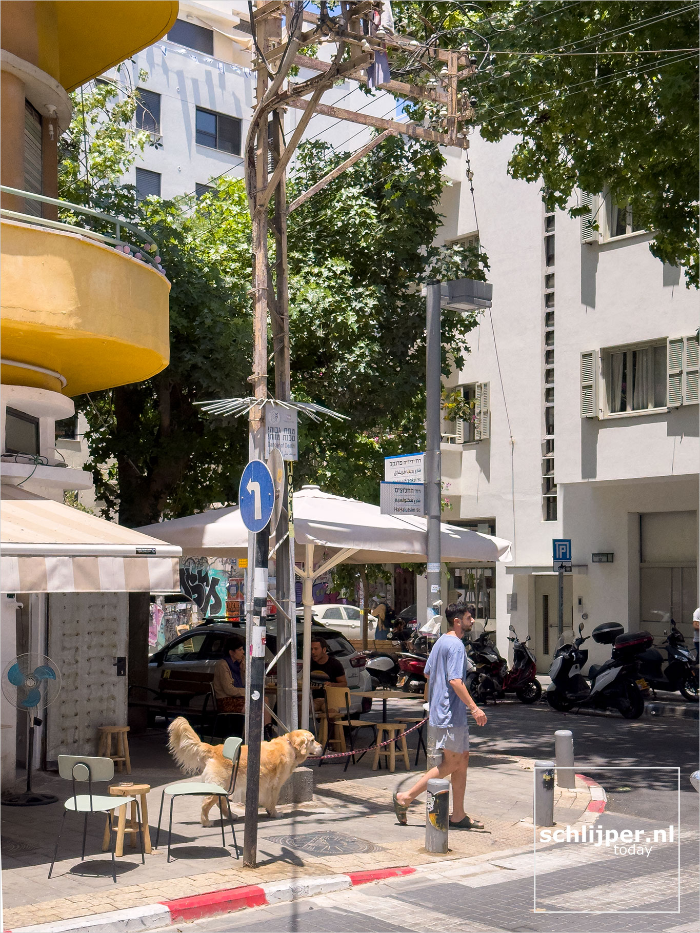 Israel, Tel Aviv, June 5, 2025