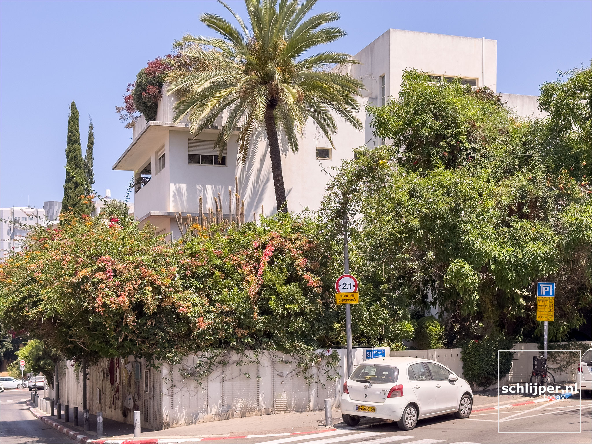 Israel, Tel Aviv, June 11, 2025