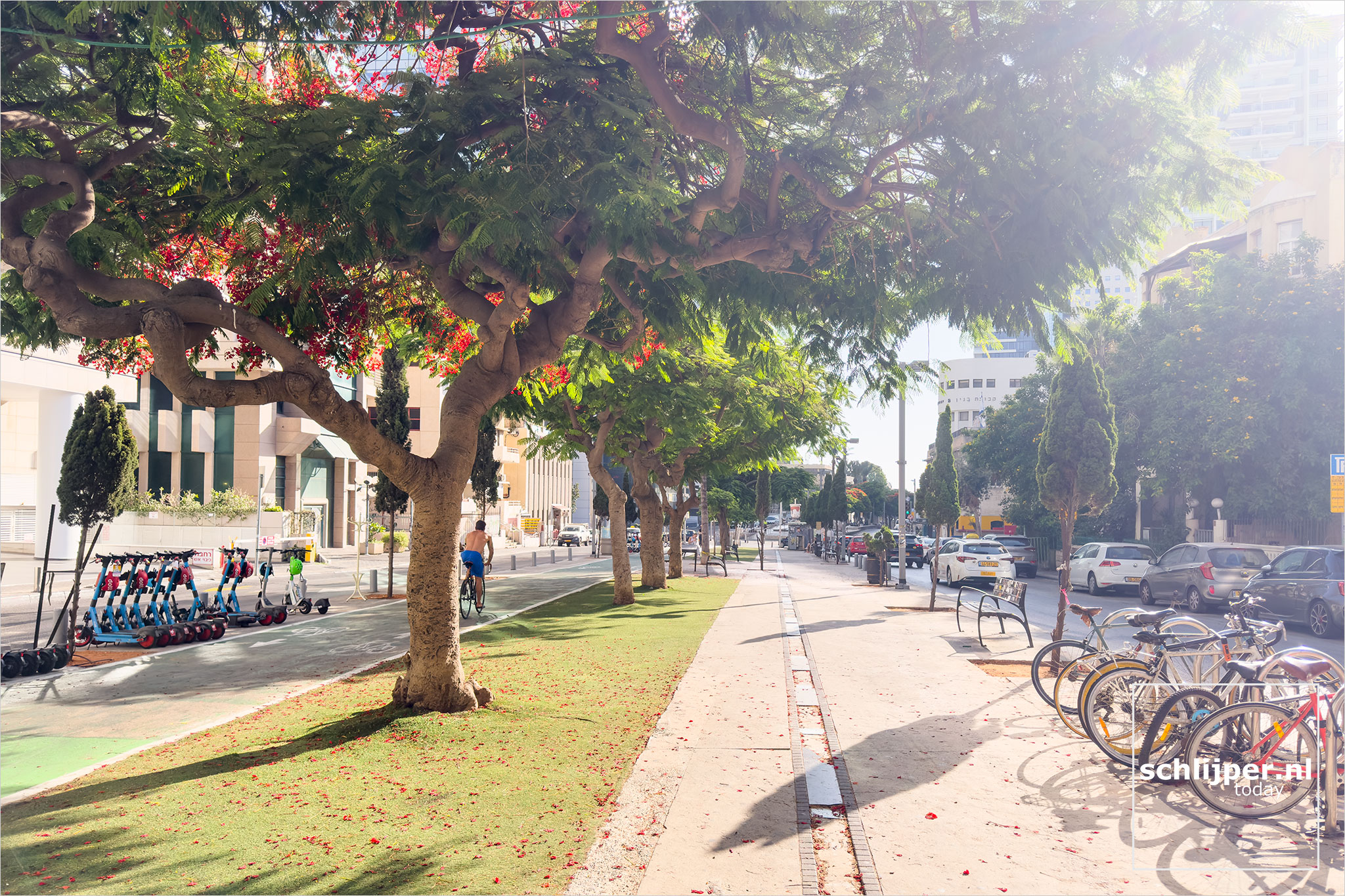 Israel, Tel Aviv, June 19, 2025