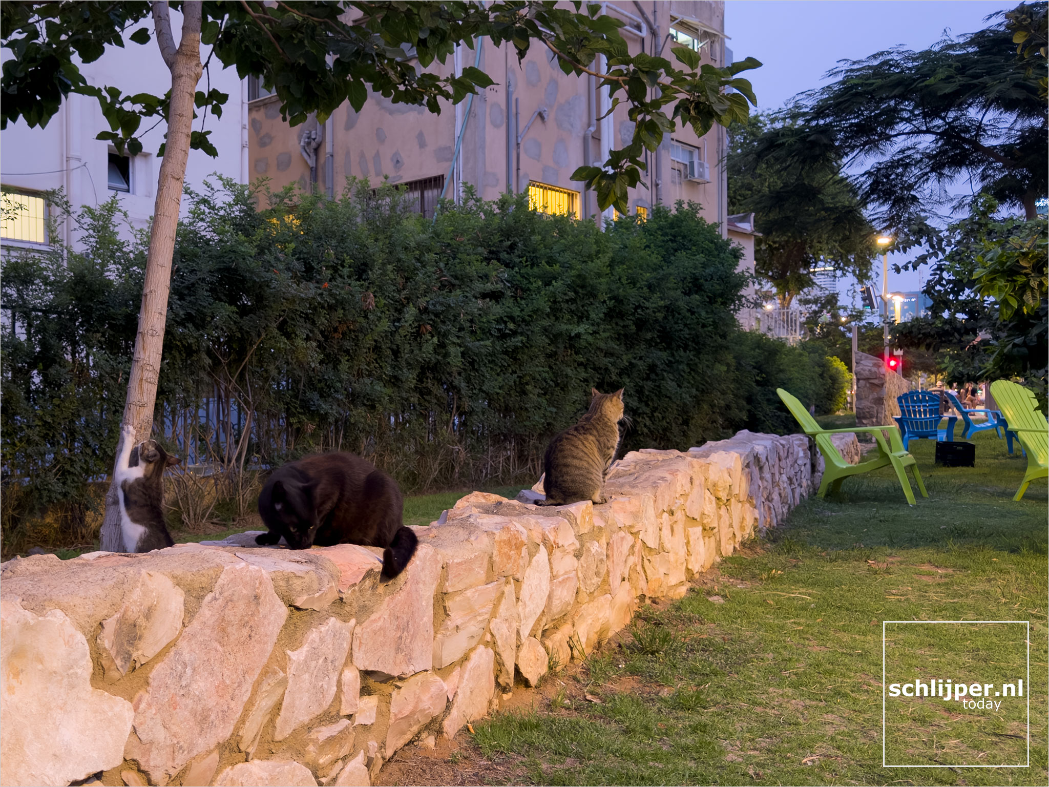 Israel, Tel Aviv, July 1, 2025