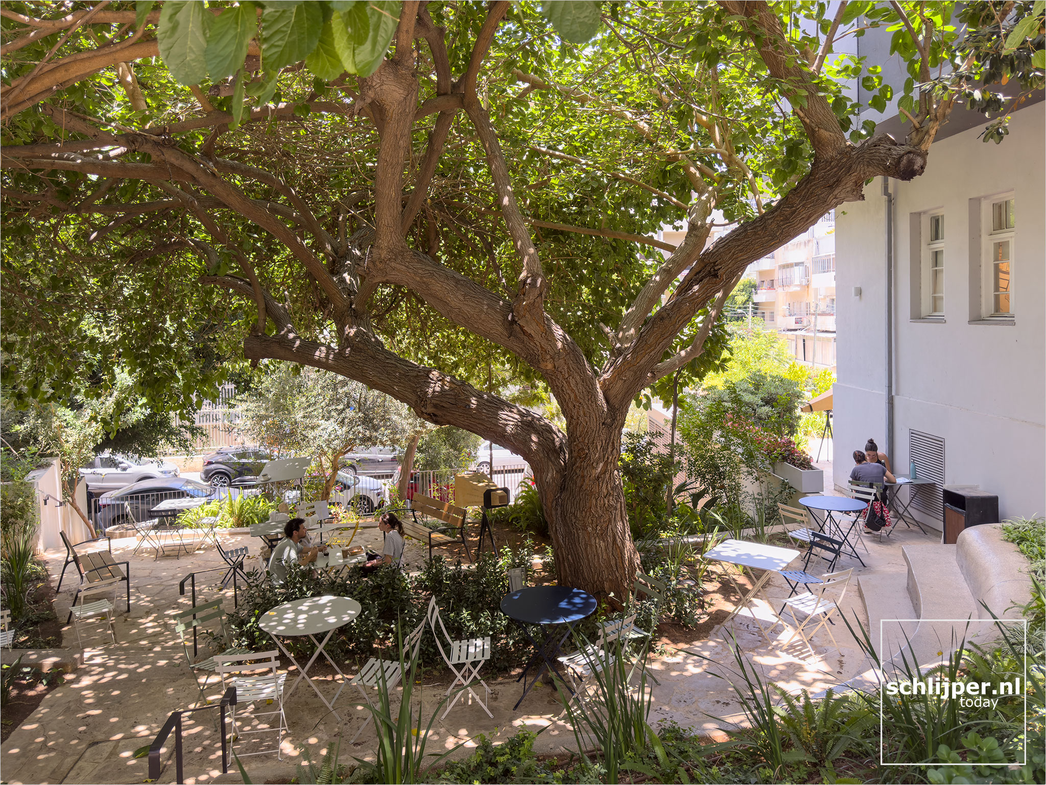 Israel, Tel Aviv, July 8, 2025