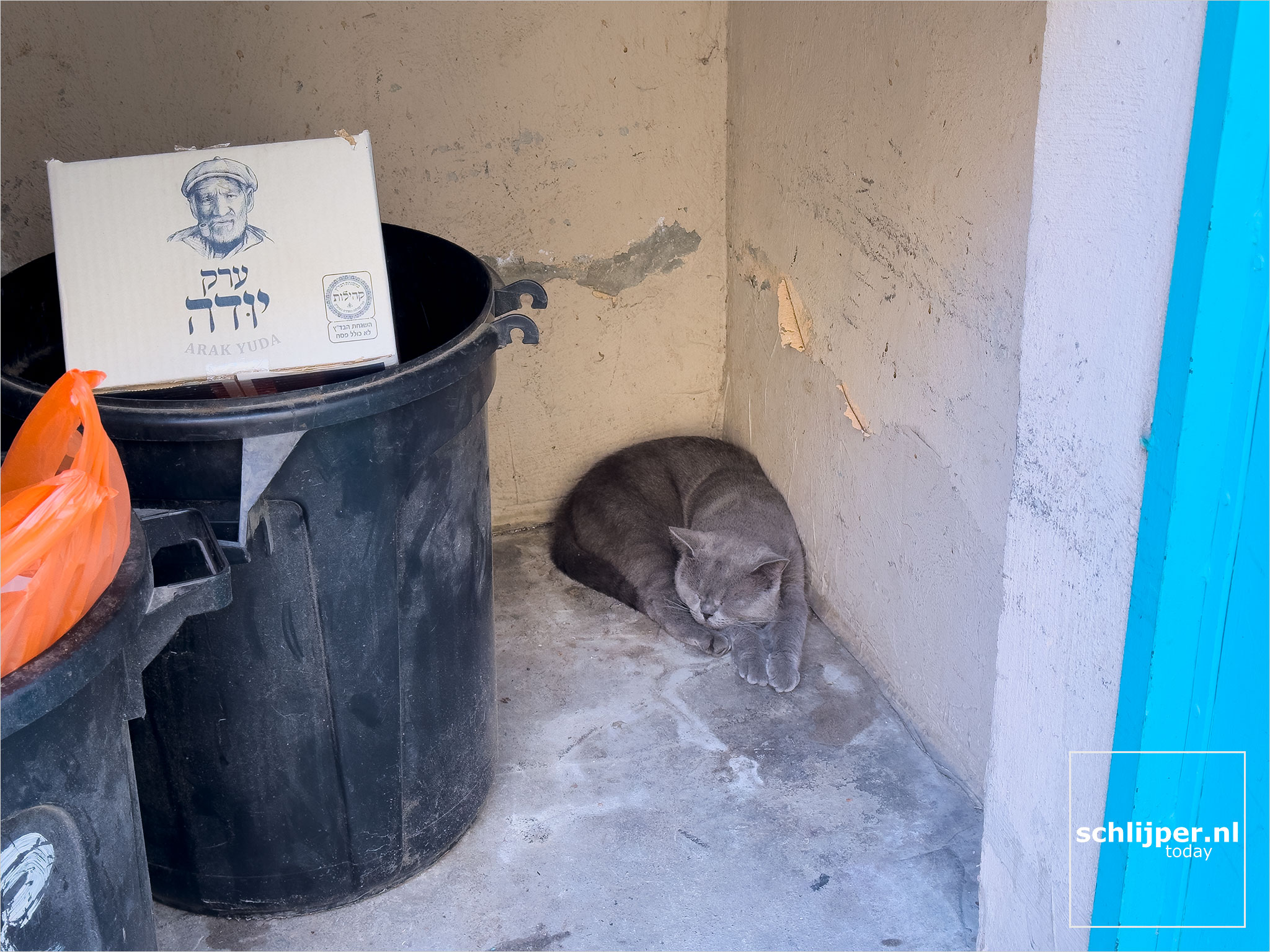 Israel, Tel Aviv, July 16, 2025