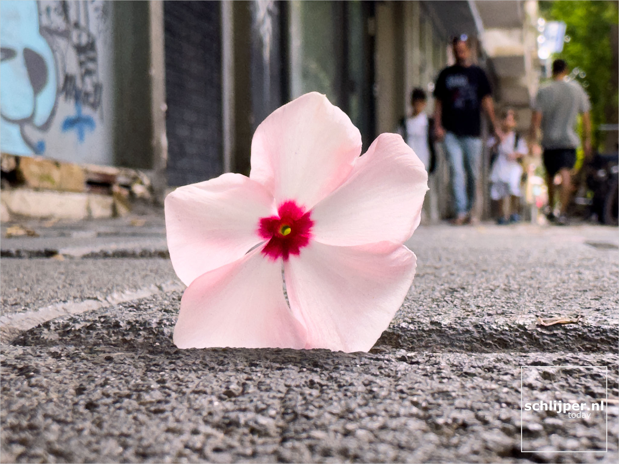 Israel, Tel Aviv, July 31, 2025