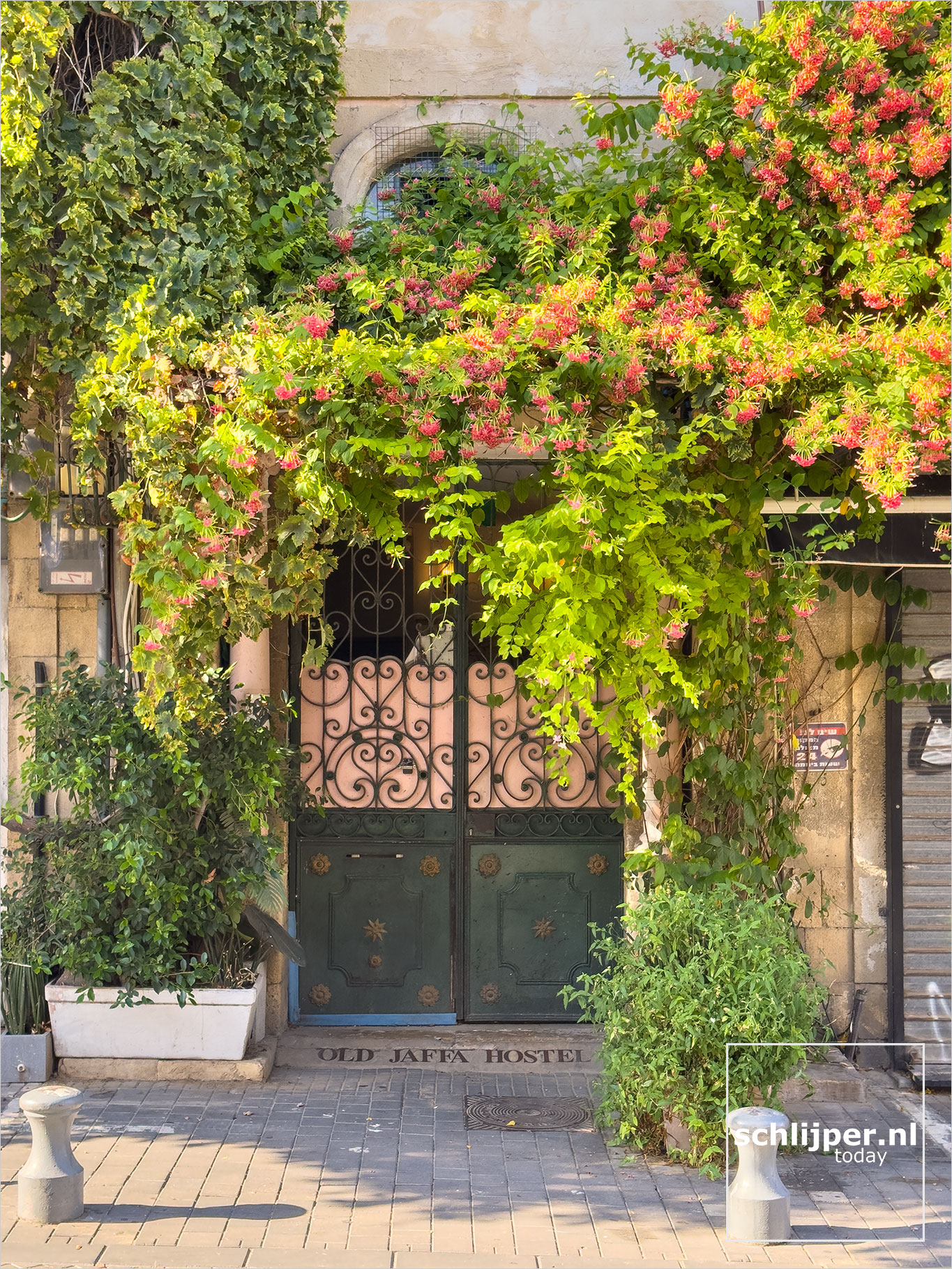 Israel, Tel Aviv - Yafo, August 3, 2019