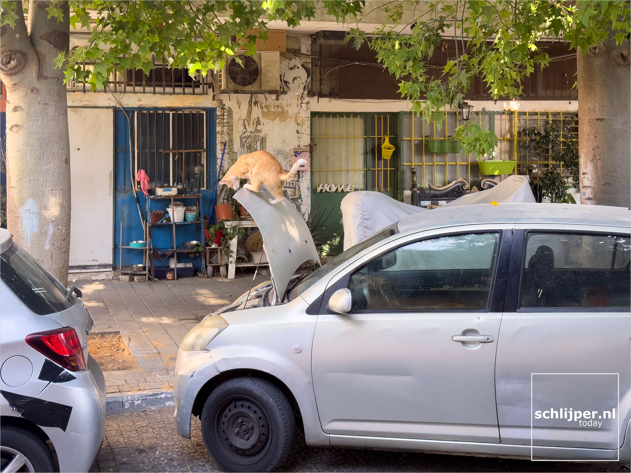 Israel, Tel Aviv - Yafo, August 3, 2019