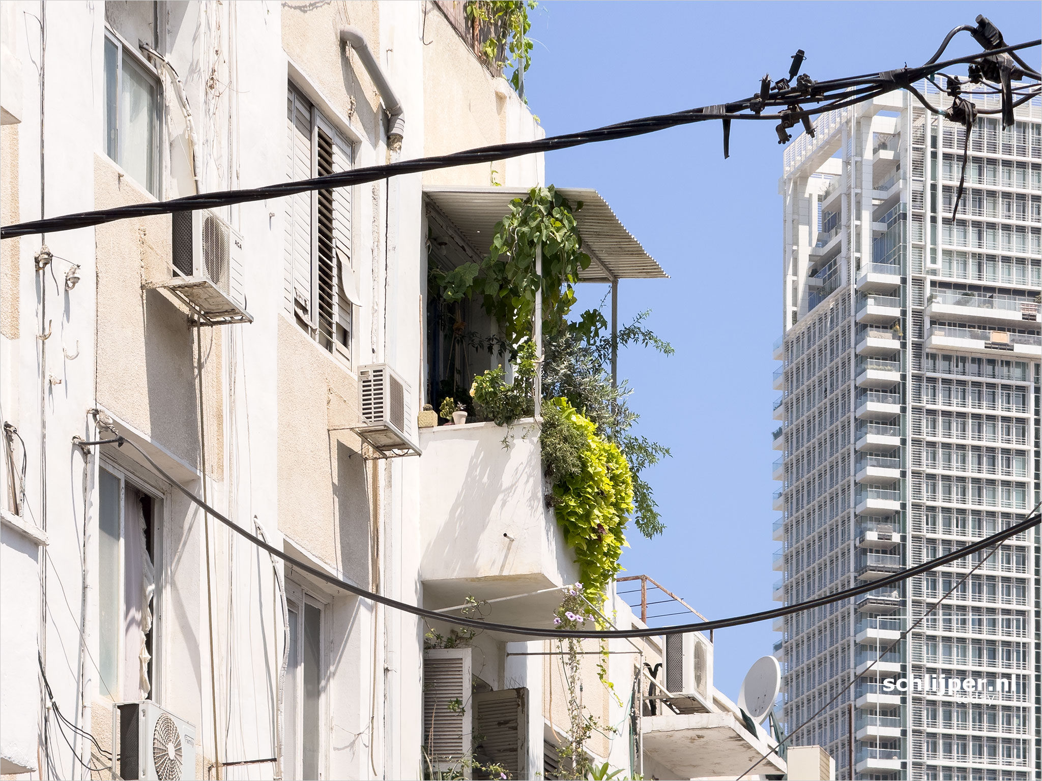 Israel, Tel Aviv, August 6, 2025