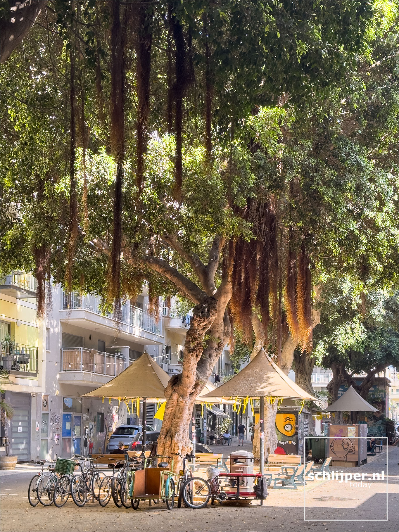 Israel, Tel Aviv, August 7, 2025