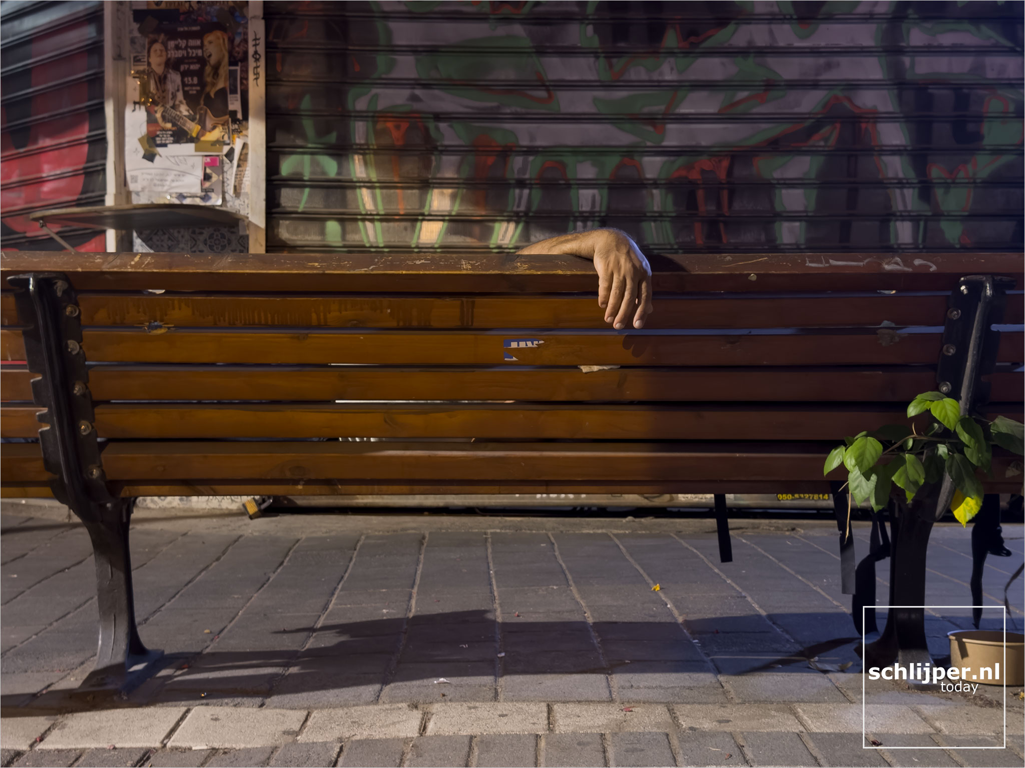 Israel, Tel Aviv, August 8, 2025