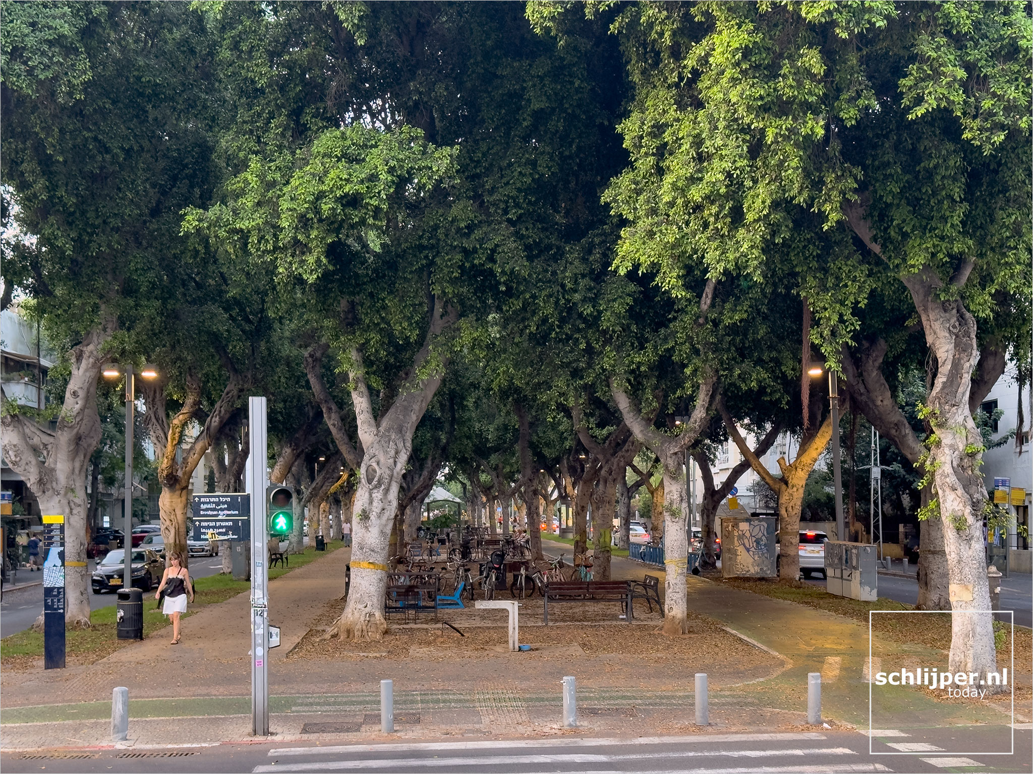 Israel, Tel Aviv, August 9, 2025