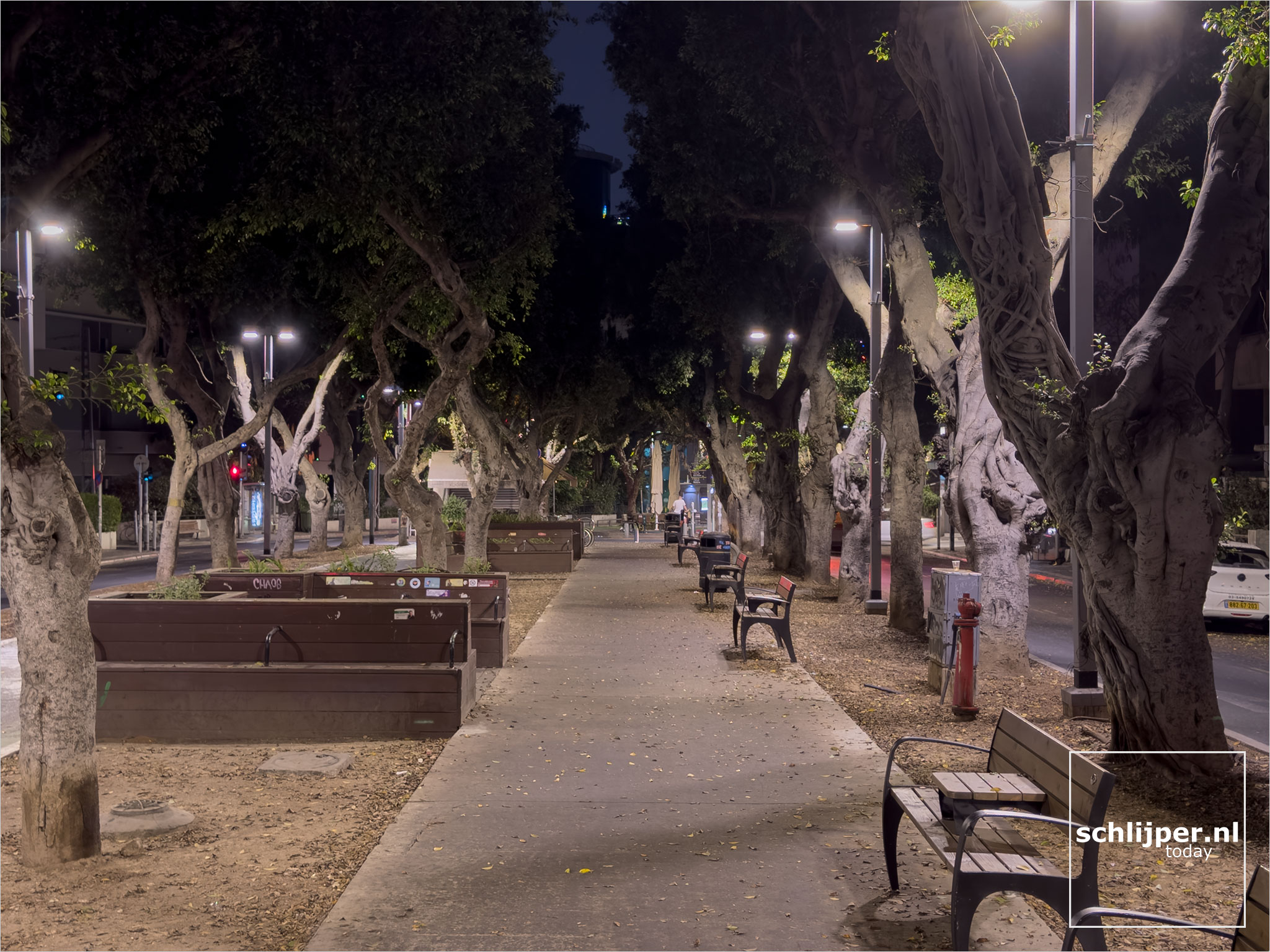 Israel, Tel Aviv, August 10, 2025