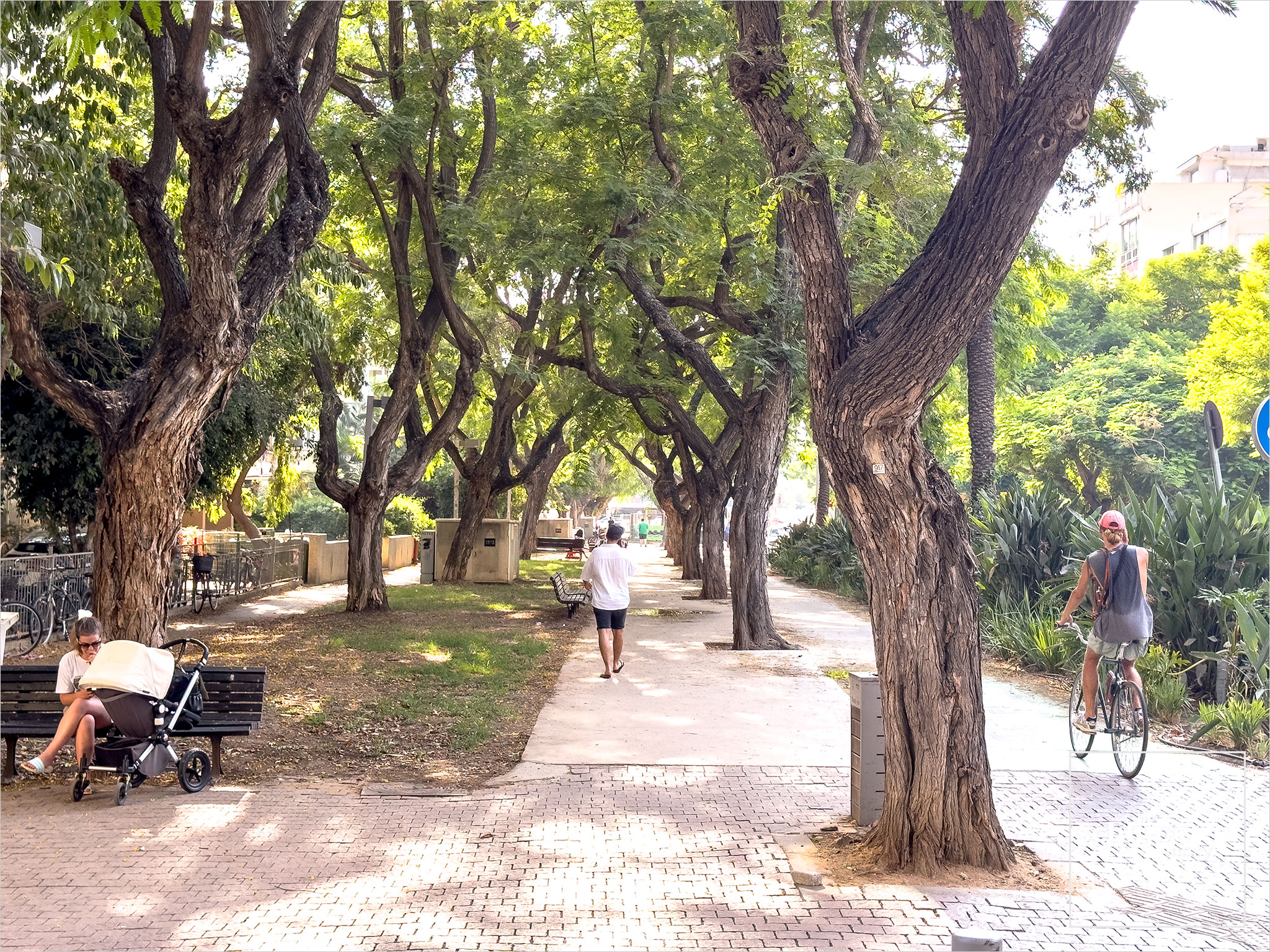 Israel, Tel Aviv, August 14, 2025
