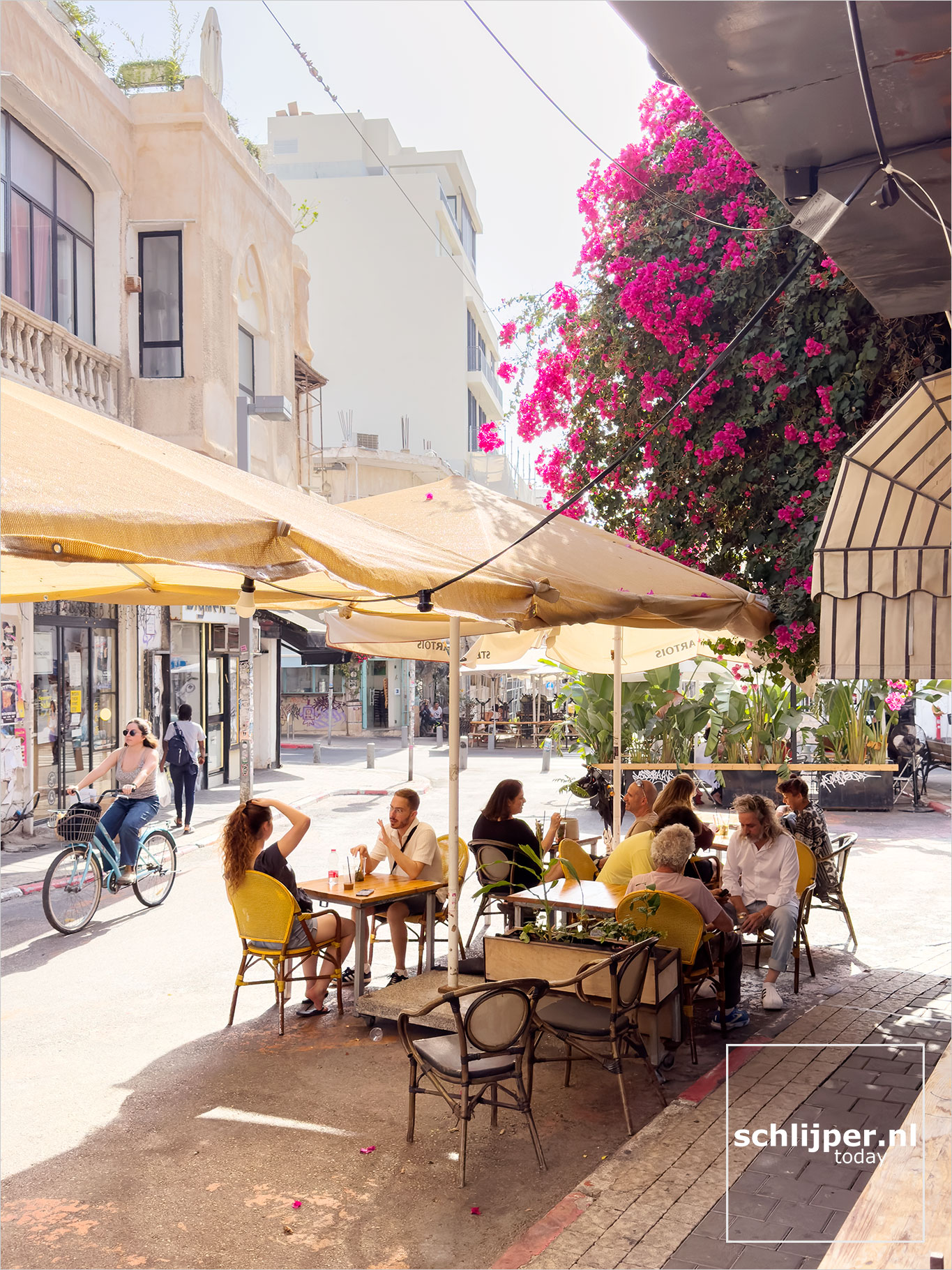 Israel, Tel Aviv, August 15, 2025