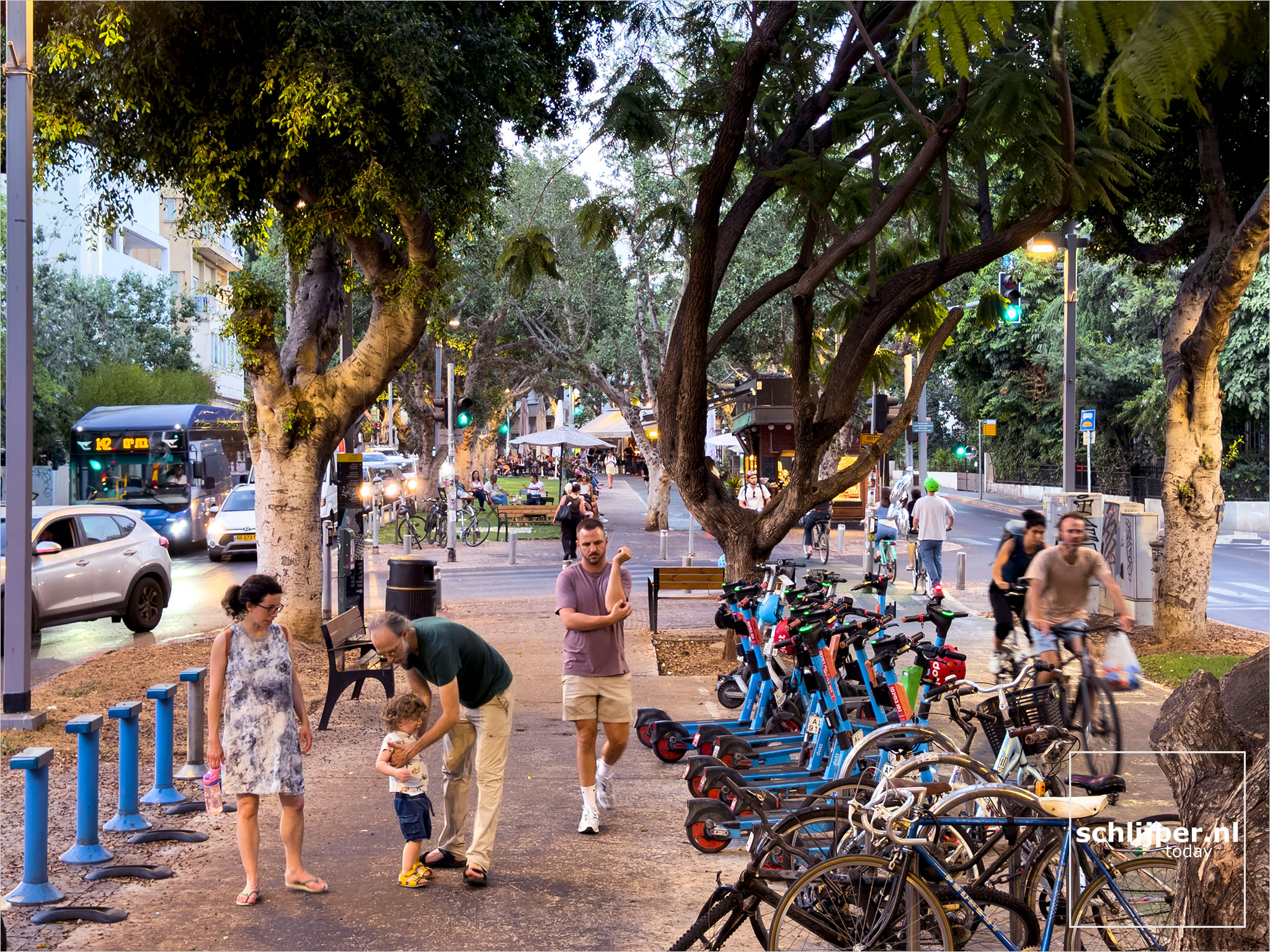 Israel, Tel Aviv, August 20, 2025