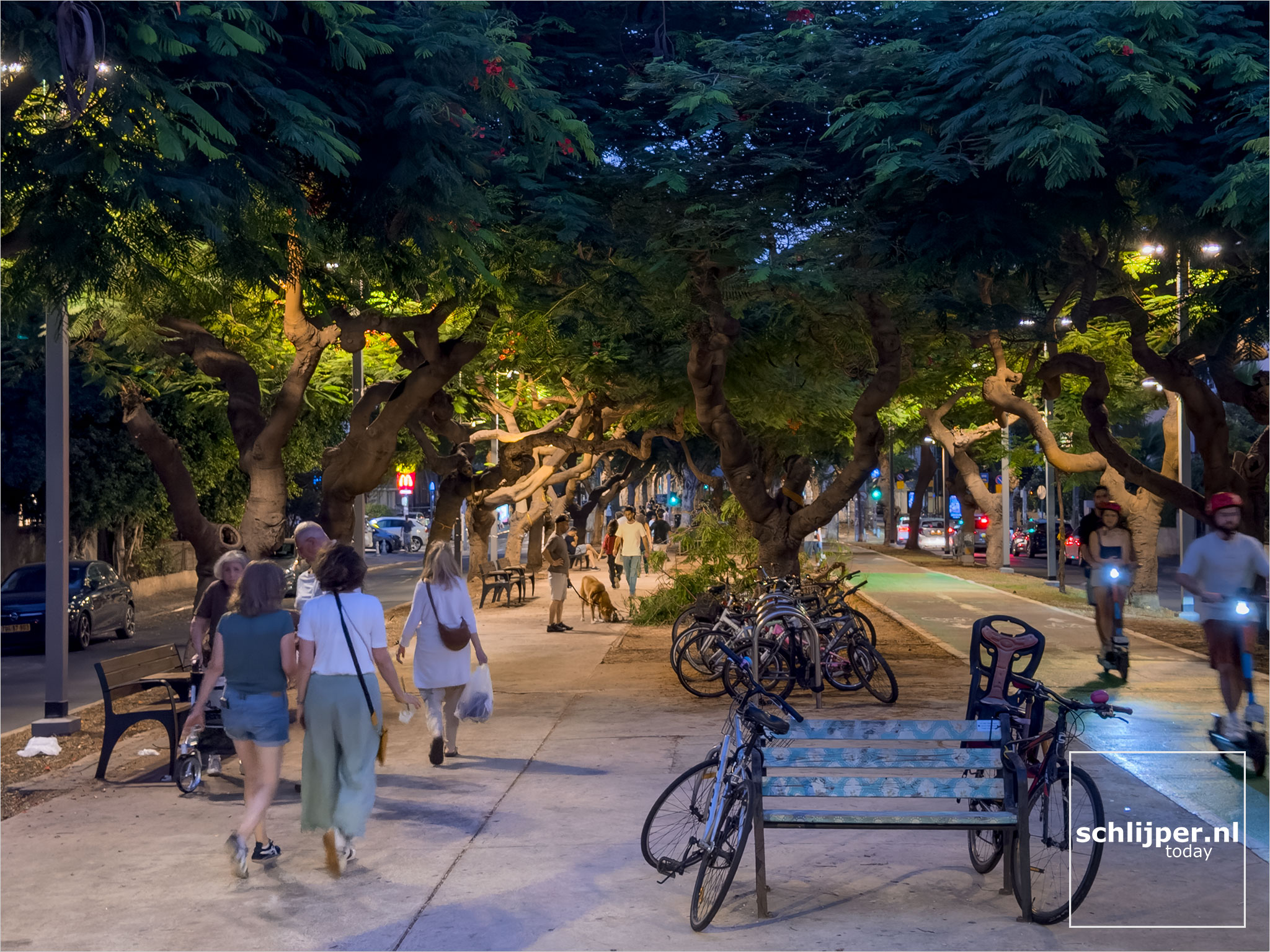Israel, Tel Aviv, August 23, 2025