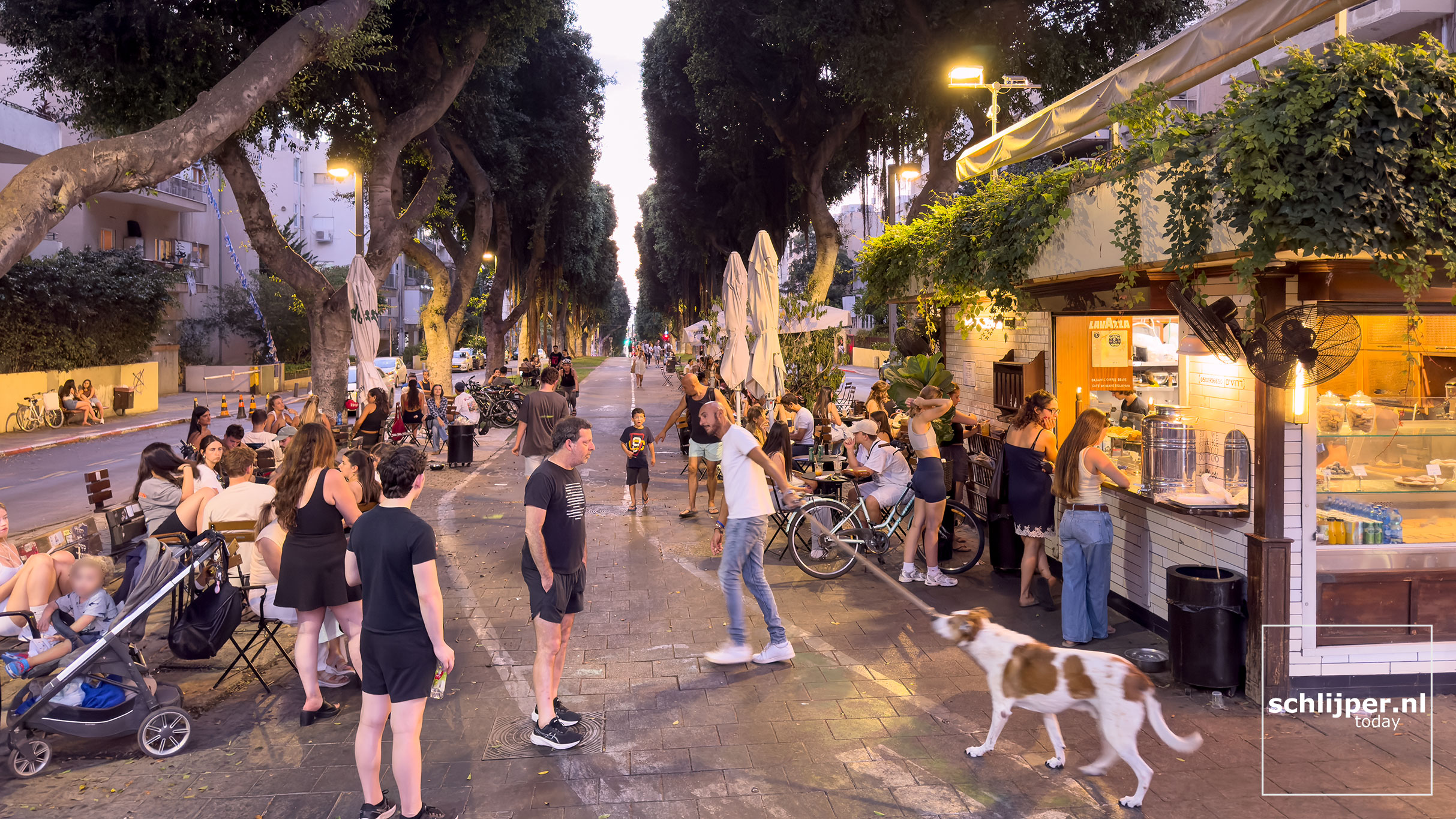Israel, Tel Aviv, August 30, 2025