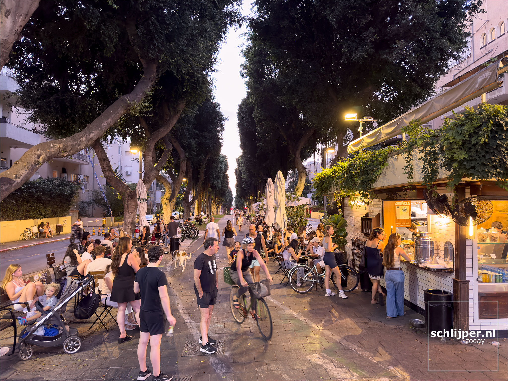 Israel, Tel Aviv, August 30, 2025