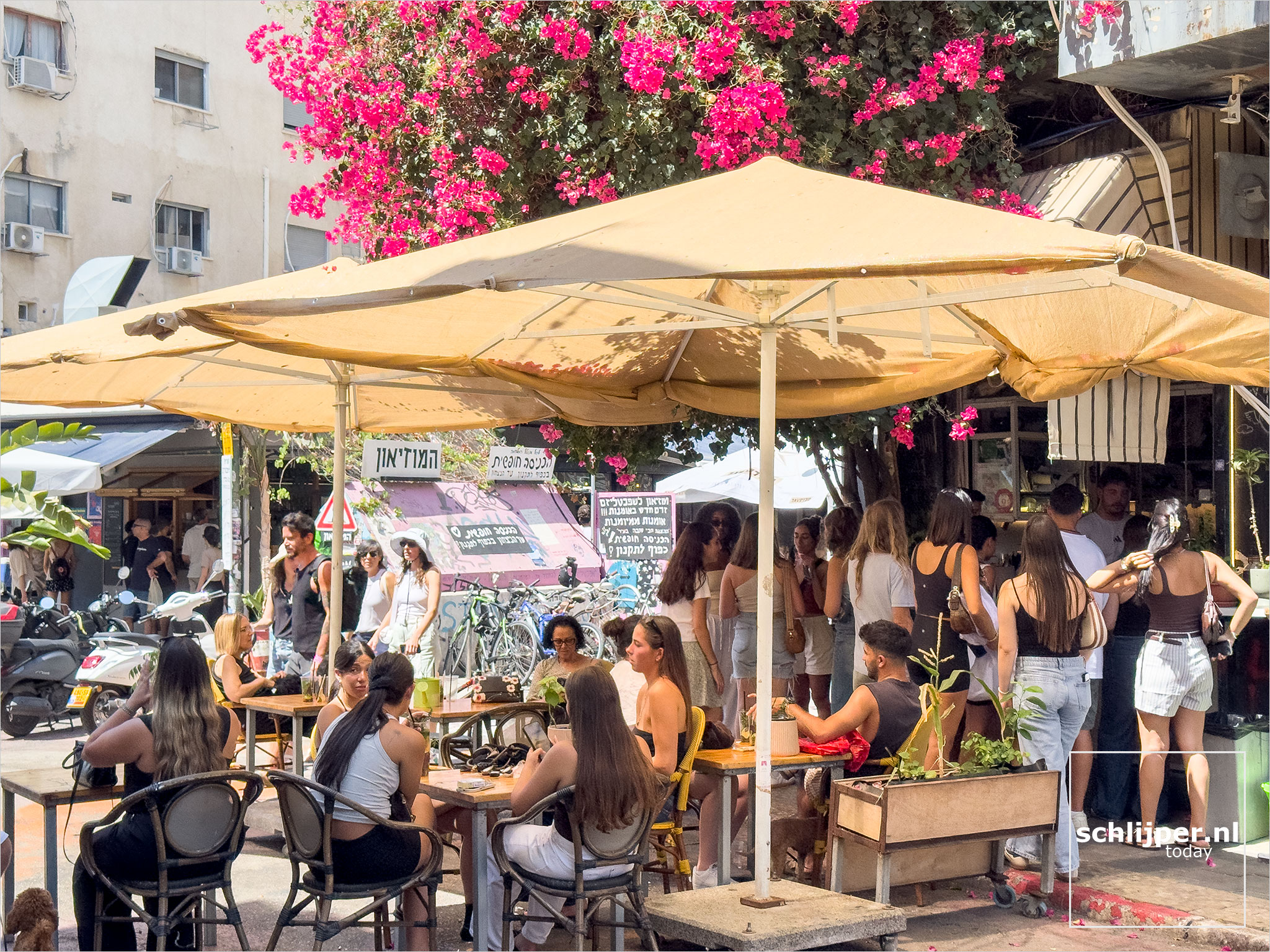 Israel, Tel Aviv, September 5, 2025