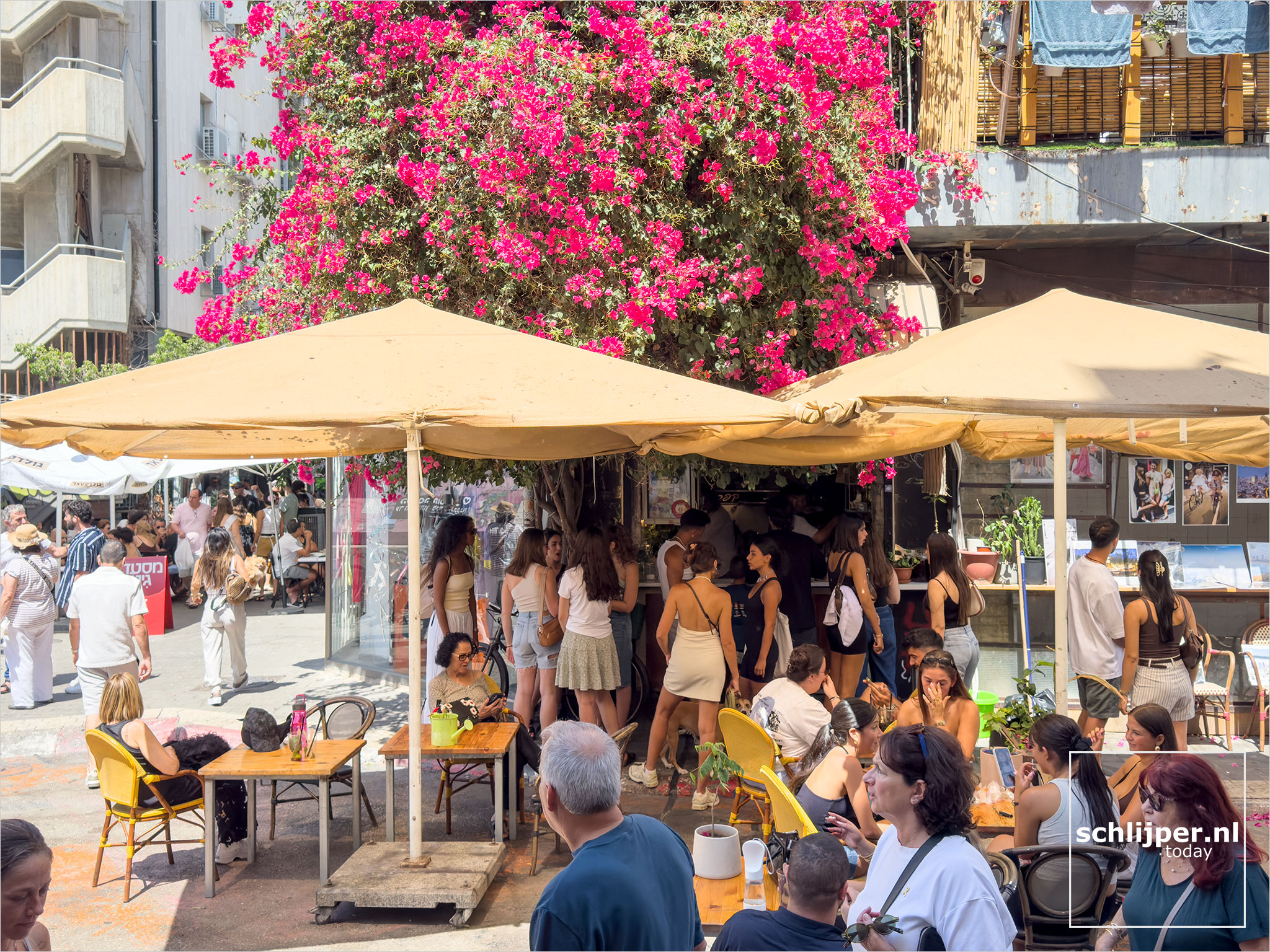Israel, Tel Aviv, September 5, 2025