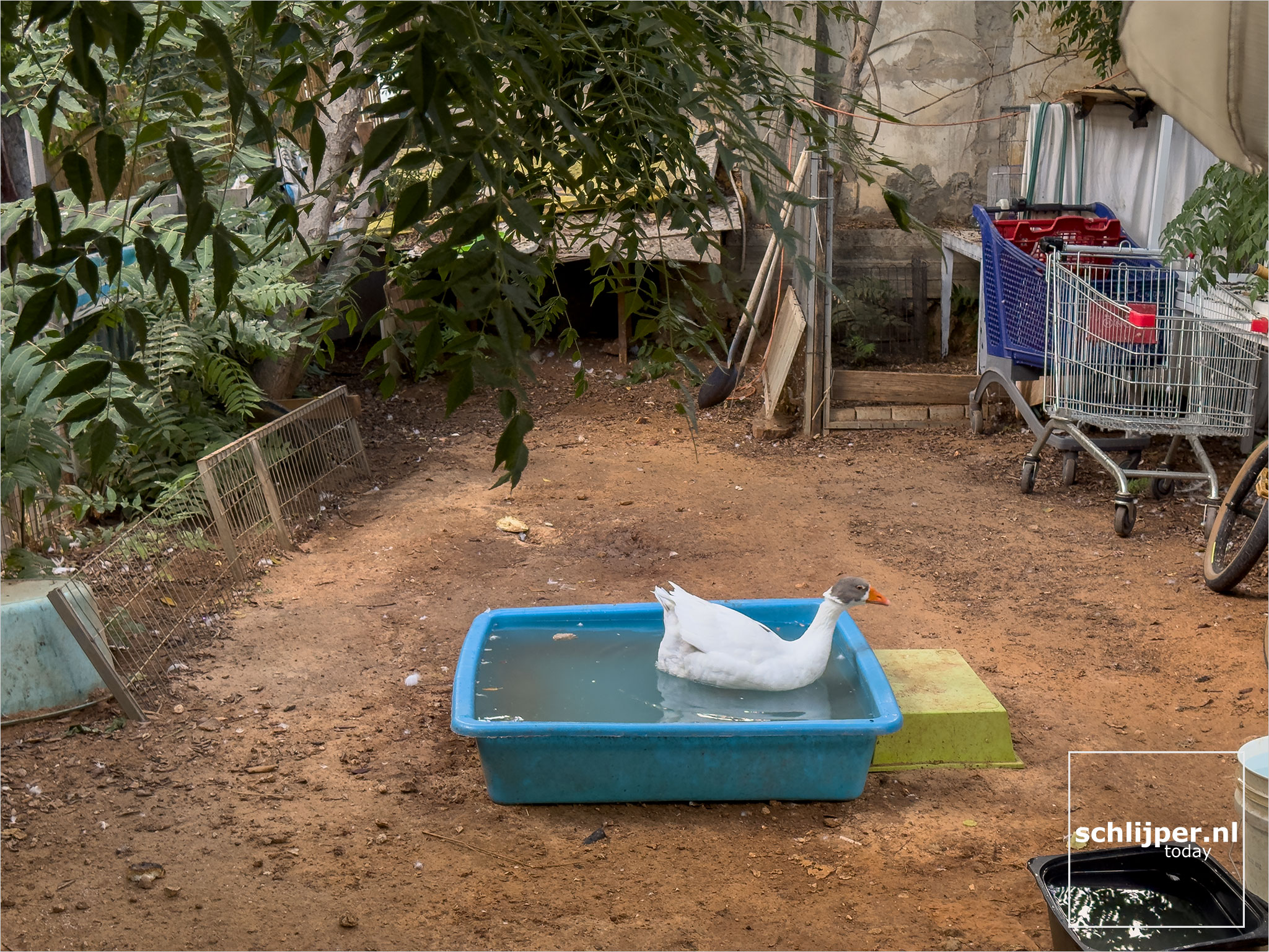 Israel, Tel Aviv, September 7, 2025