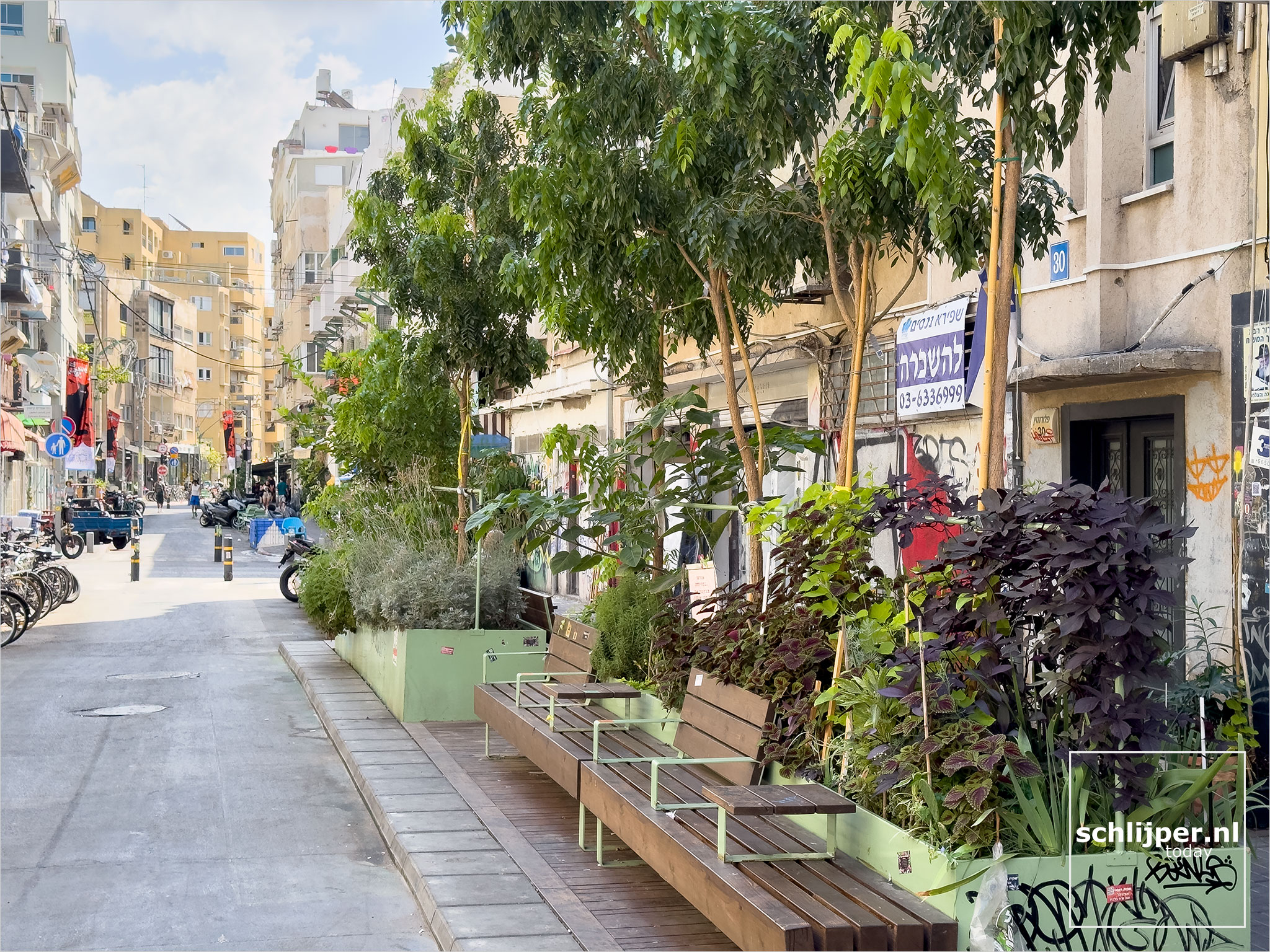 Israel, Tel Aviv, September 8, 2025