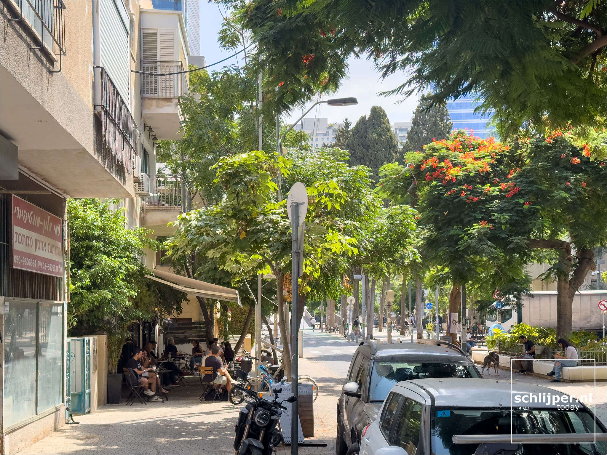 Israel, Tel Aviv, September 11, 2025