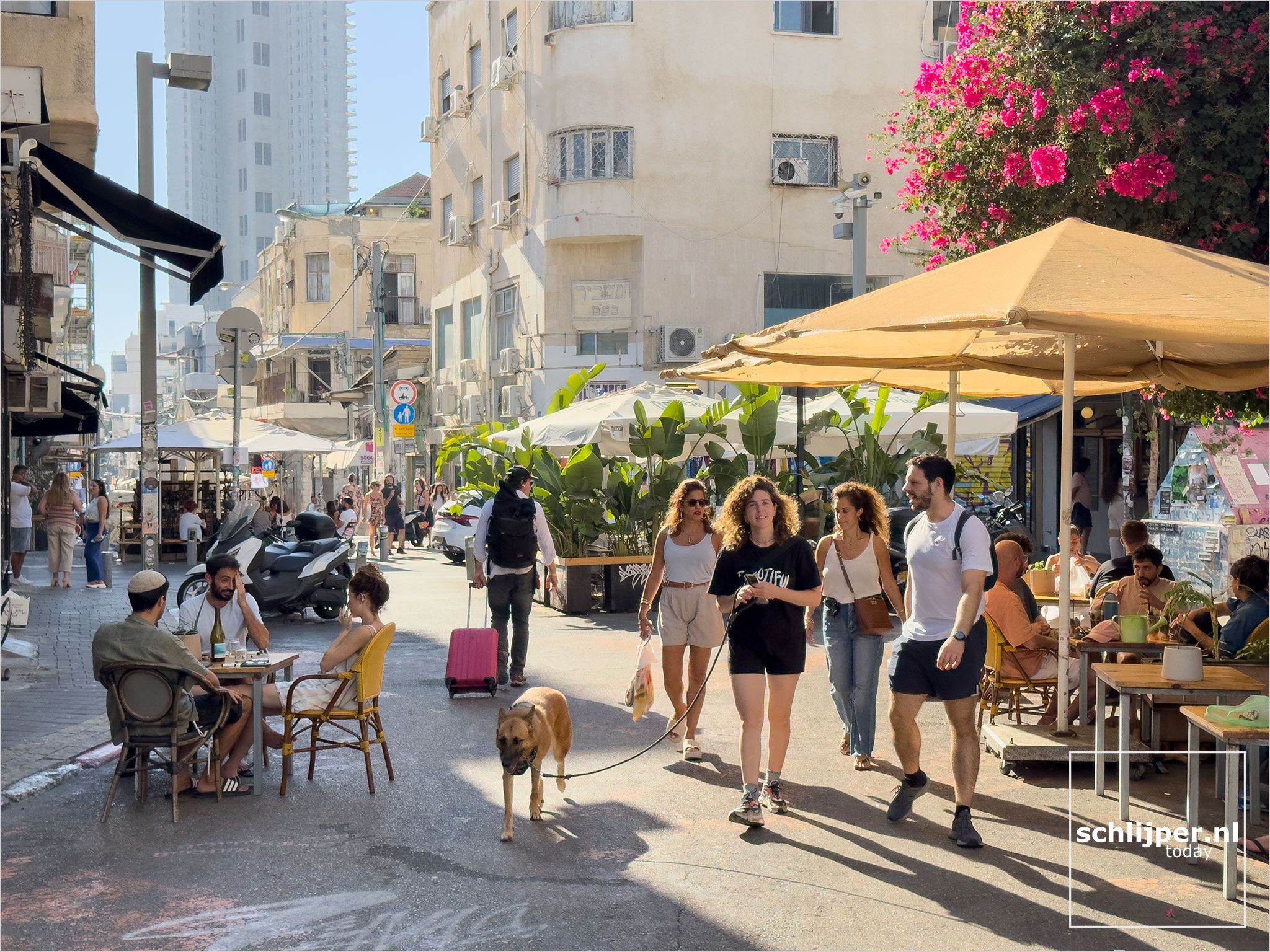 Israel, Tel Aviv, September 12, 2025