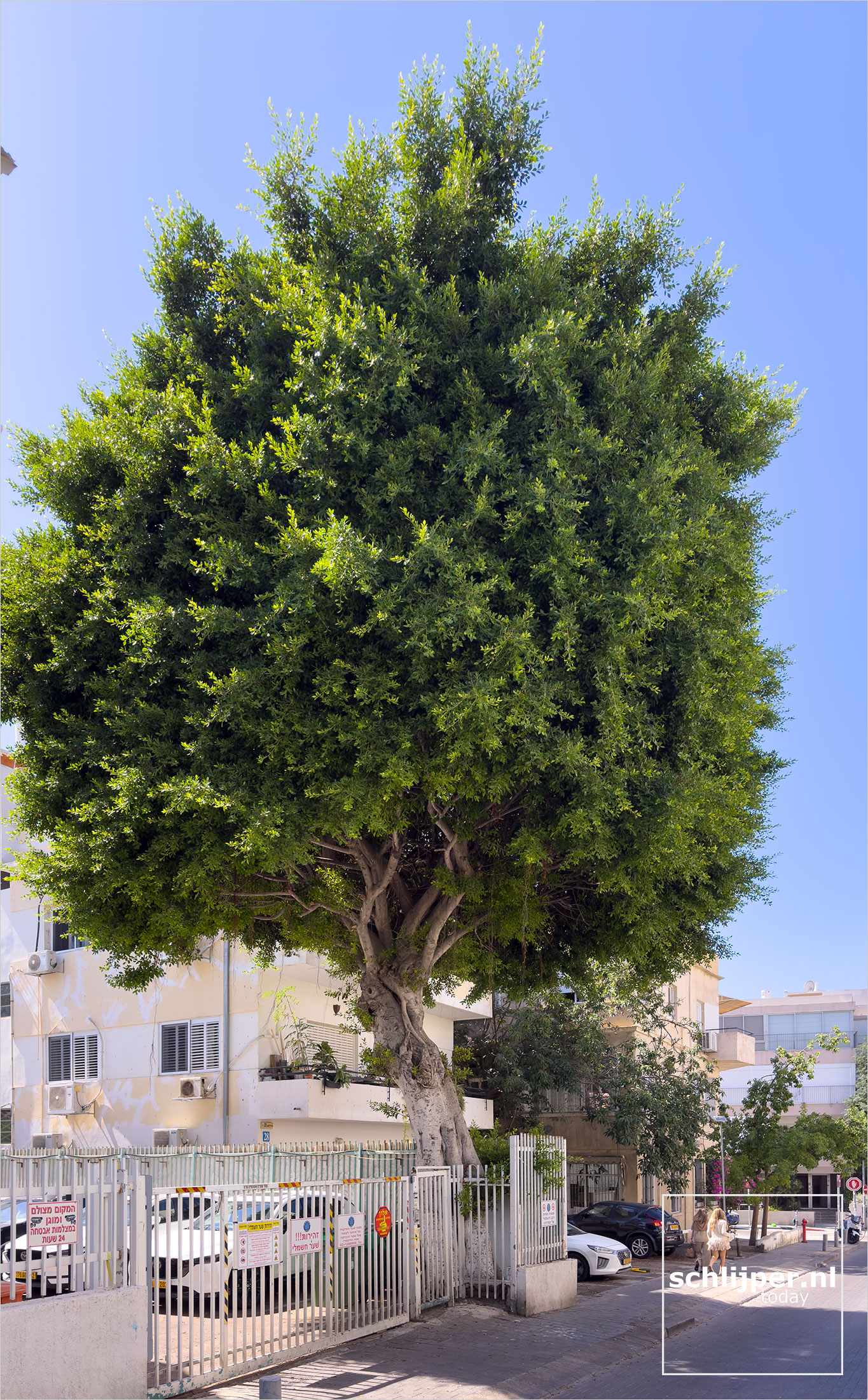 Israel, Tel Aviv, September 29, 2025