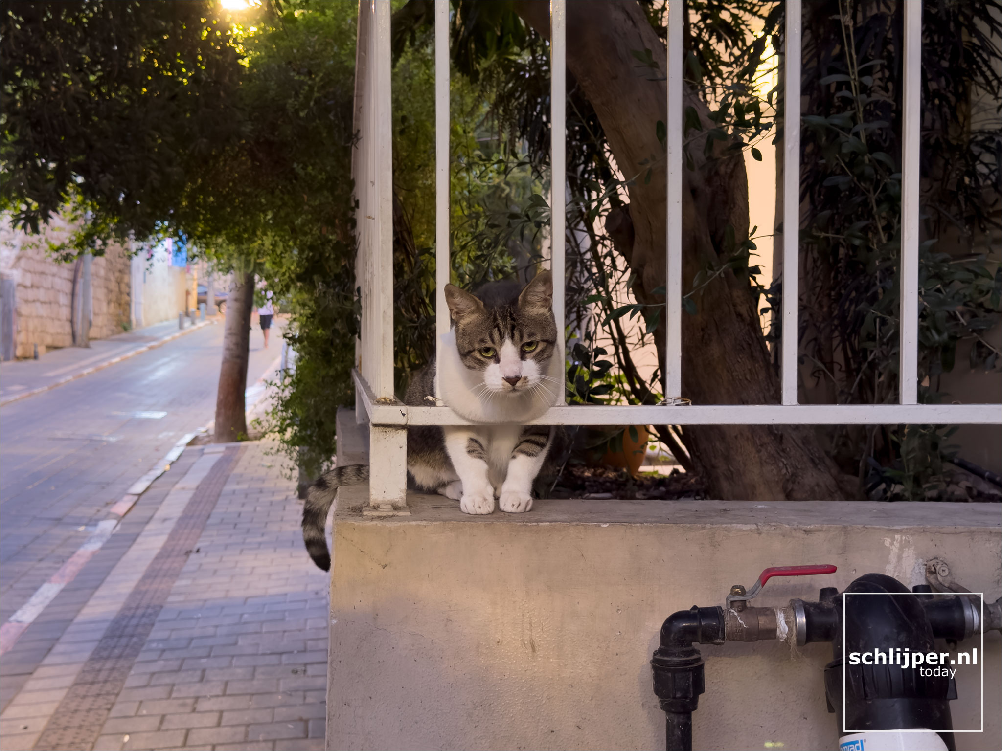 Israel, Tel Aviv, October 3, 2025