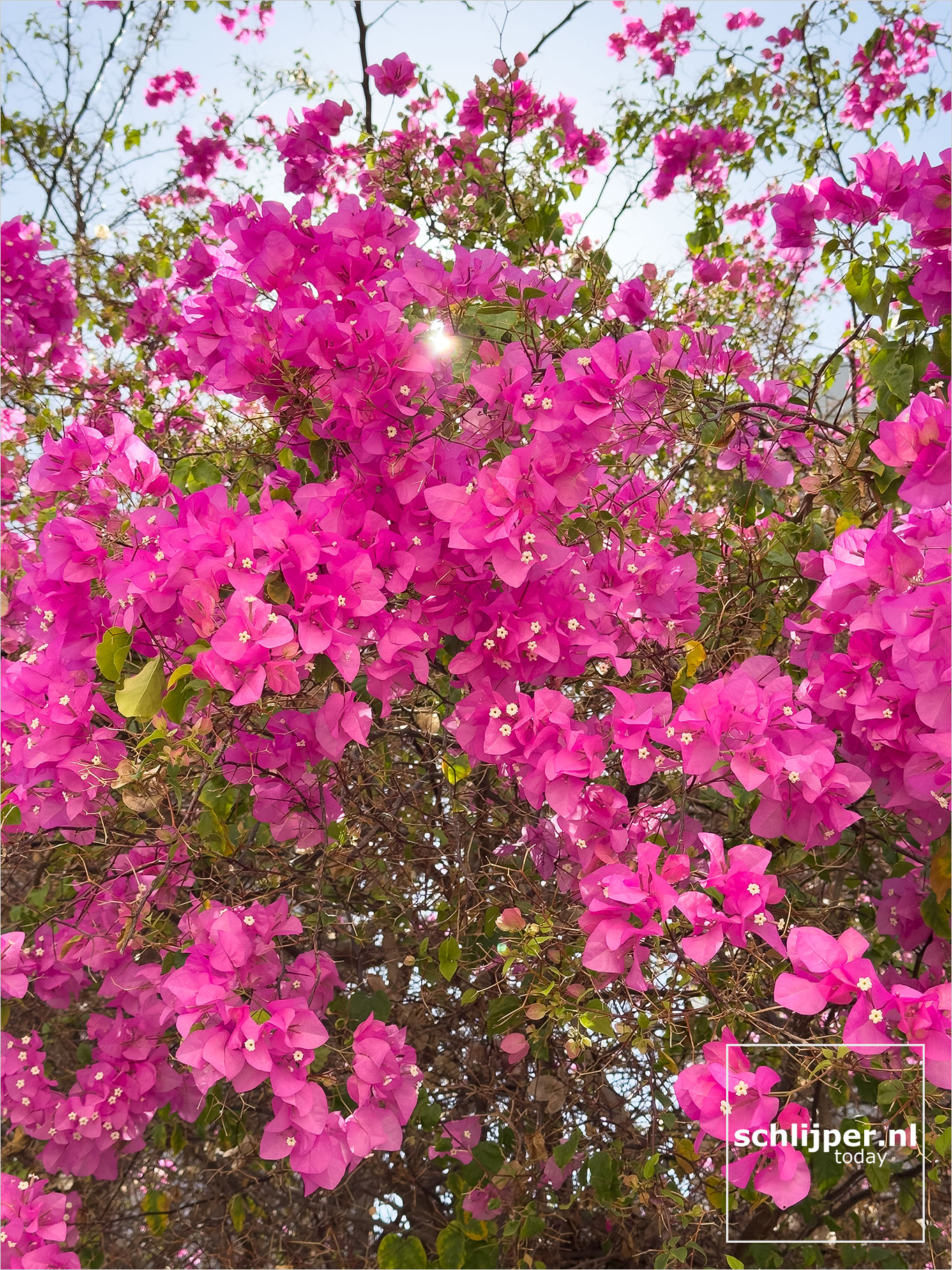 Israel, Tel Aviv, October 28, 2025